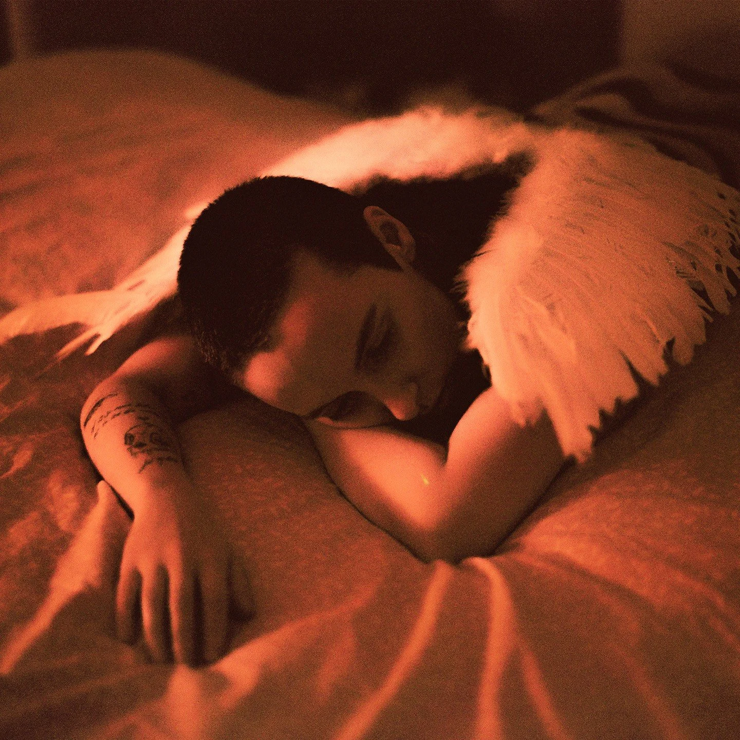 Midnight Butterflies by Sea Girls