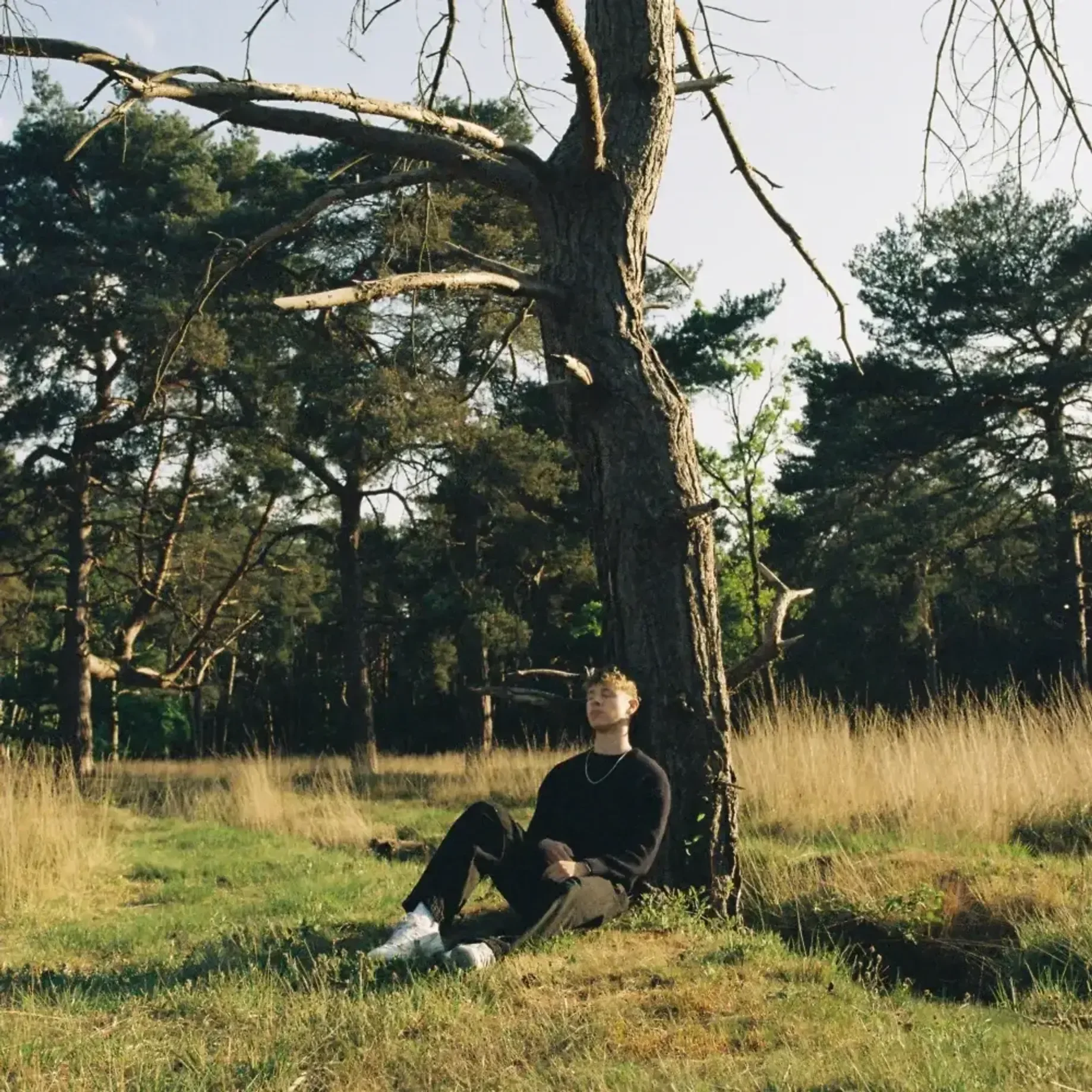 Dark Circles by Tom Cooper