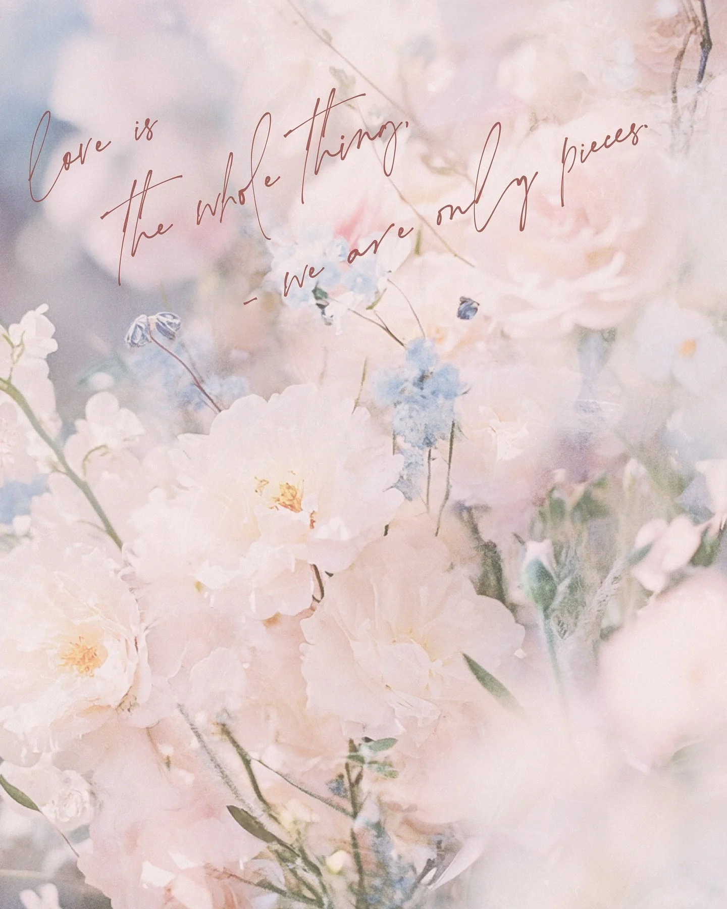 A collection of little moments on film and digital from last year’s wedding season 🤍 
 
“Love is the whole thing. We are only pieces.” ~ Rumi
 
 
 
 
#wedding #bridetobe #weddingflorist #weddingtable #tablescape #weddingday #luxury