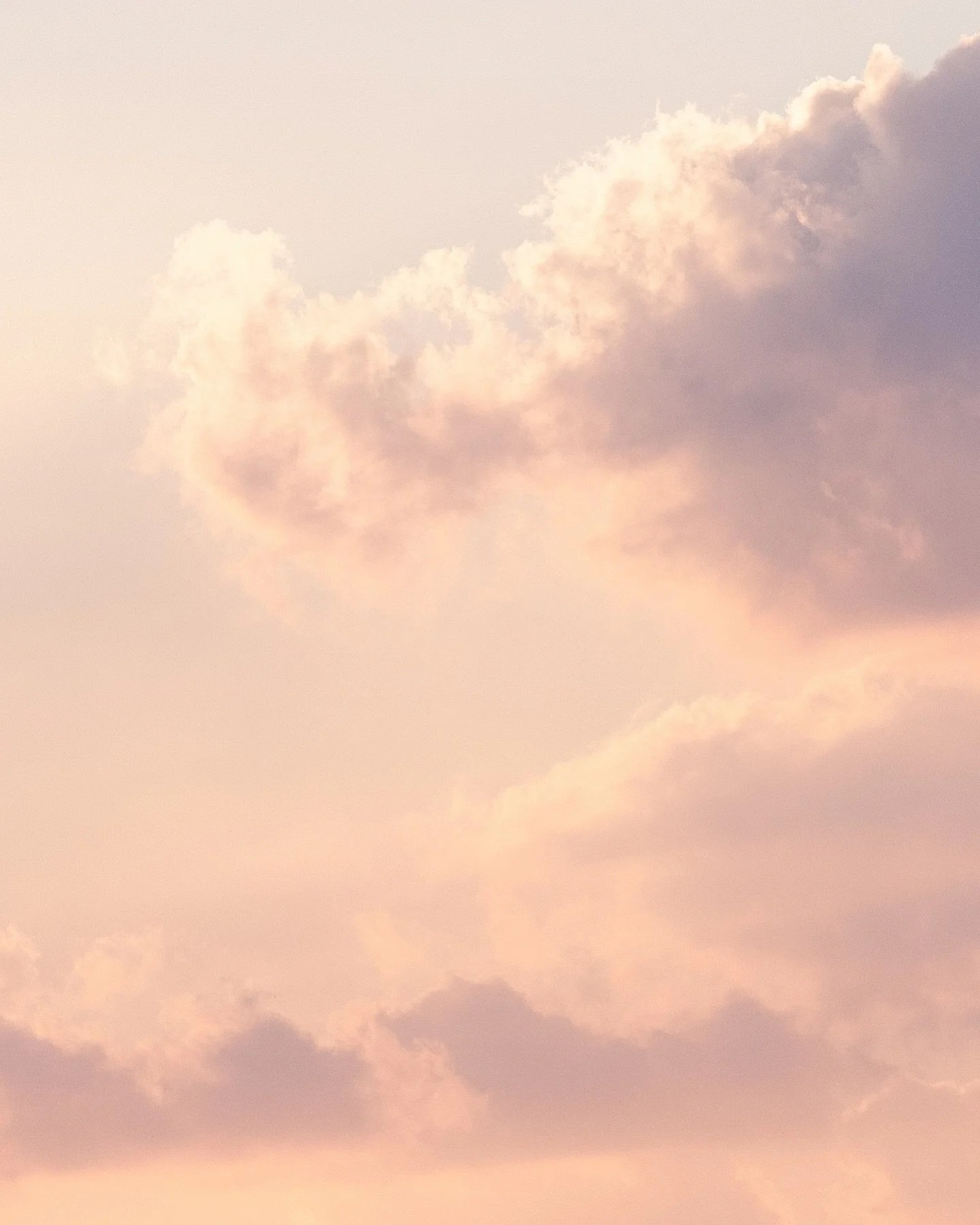 Up at sparrows for a shoot today 🧡