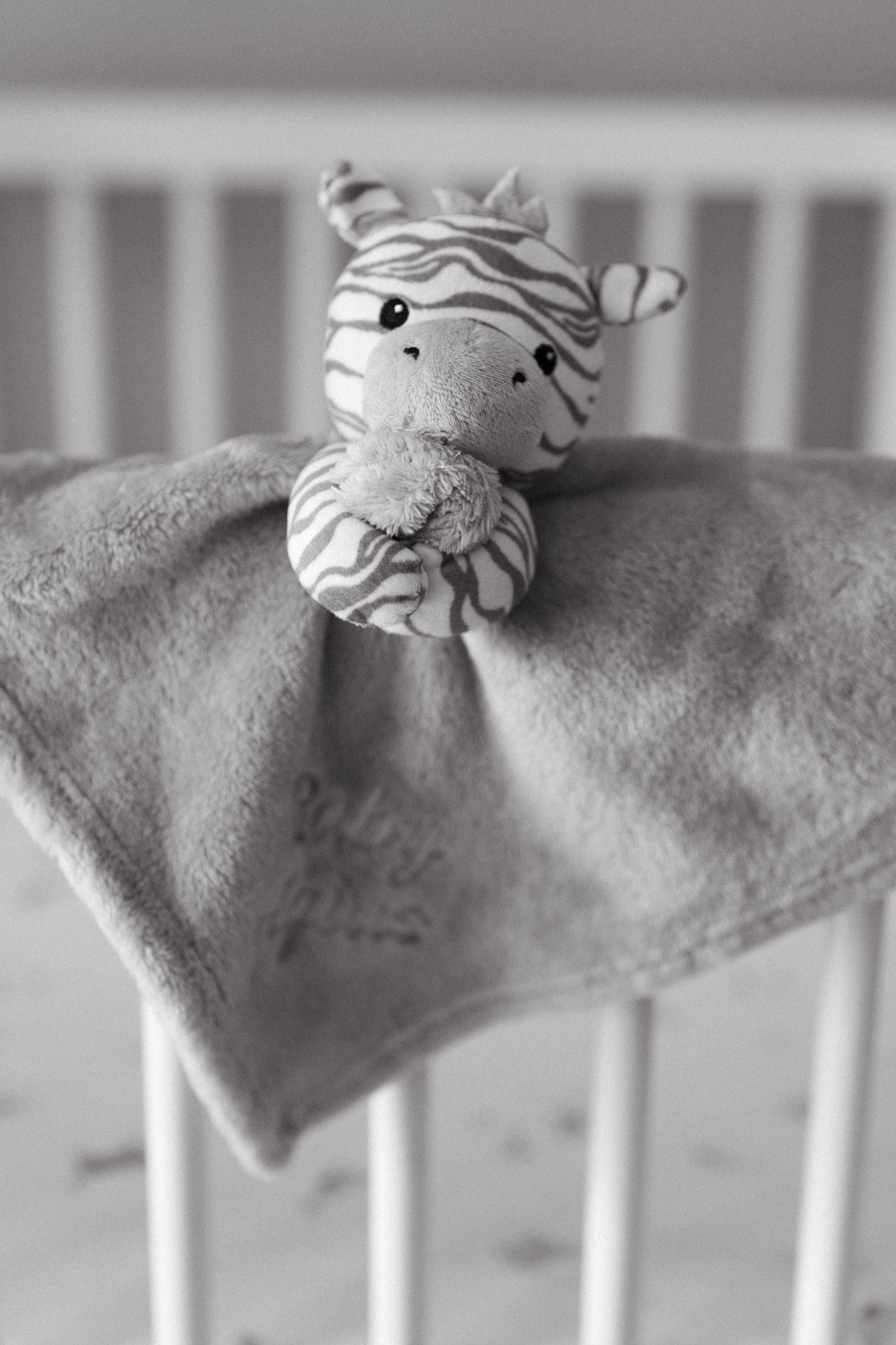 welcome-baby-esme-37.jpg