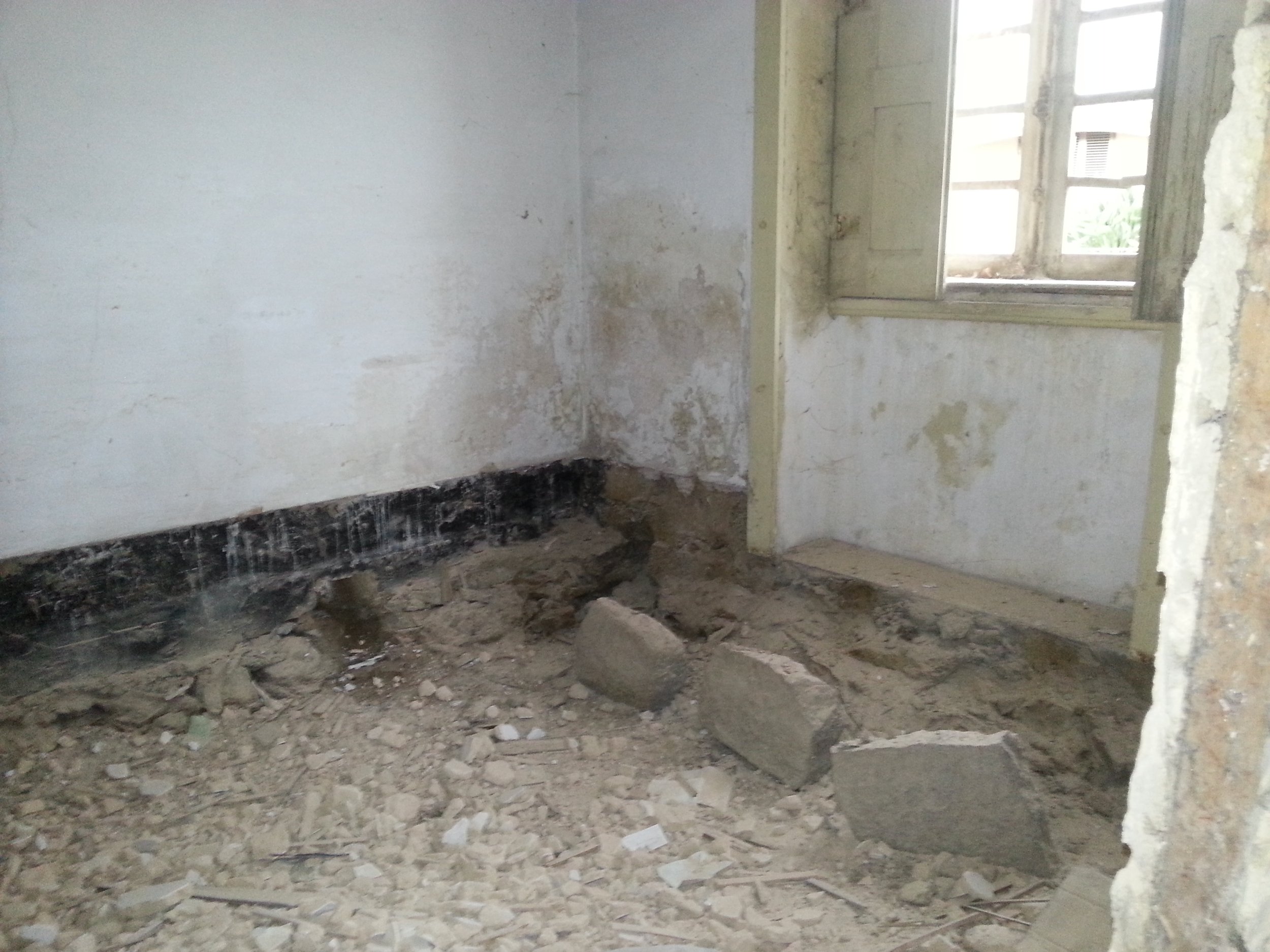 2014-01-13 15.55.21.jpg