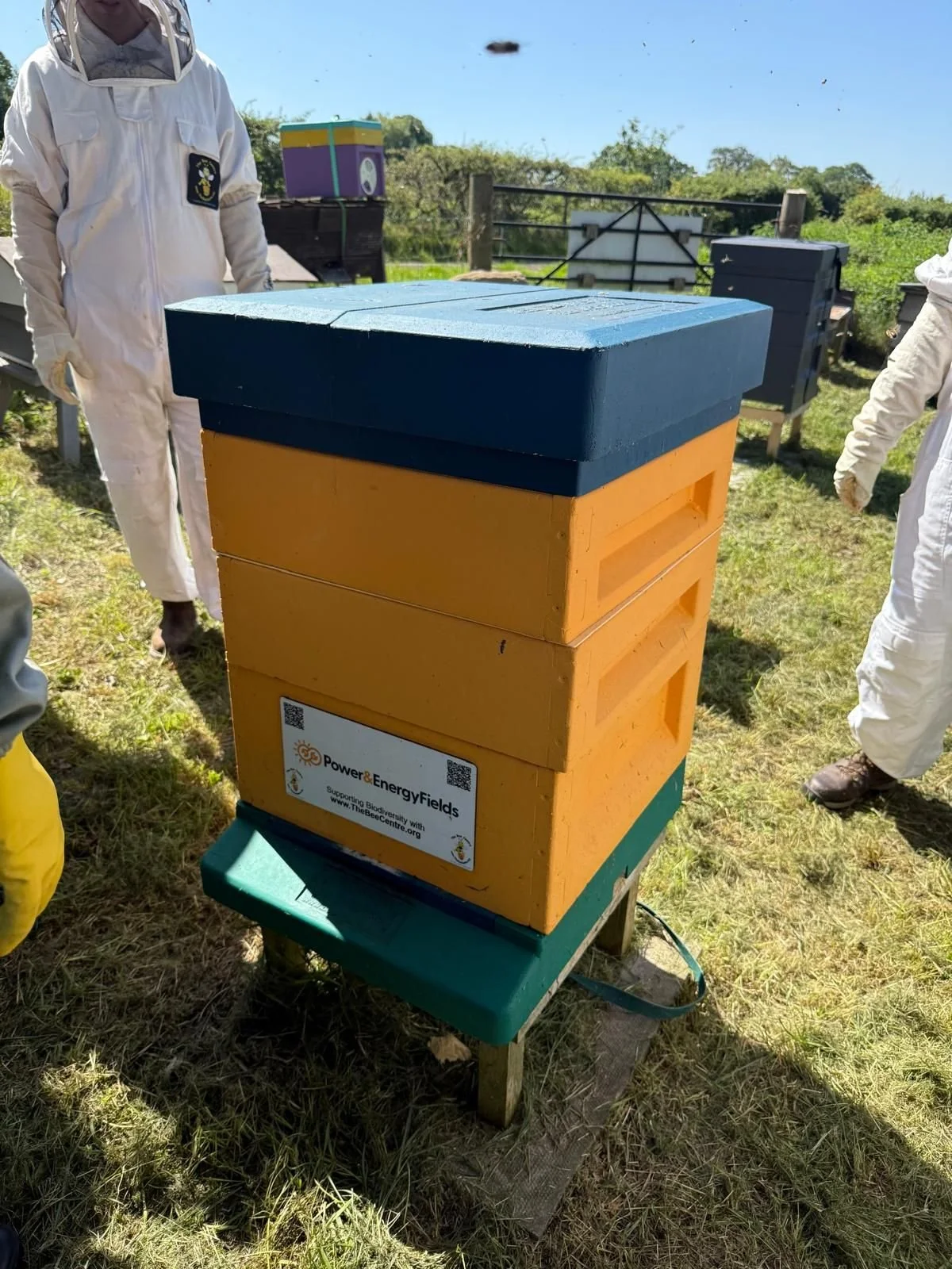 Sponsoring British Biodiversity with The Bee Centre