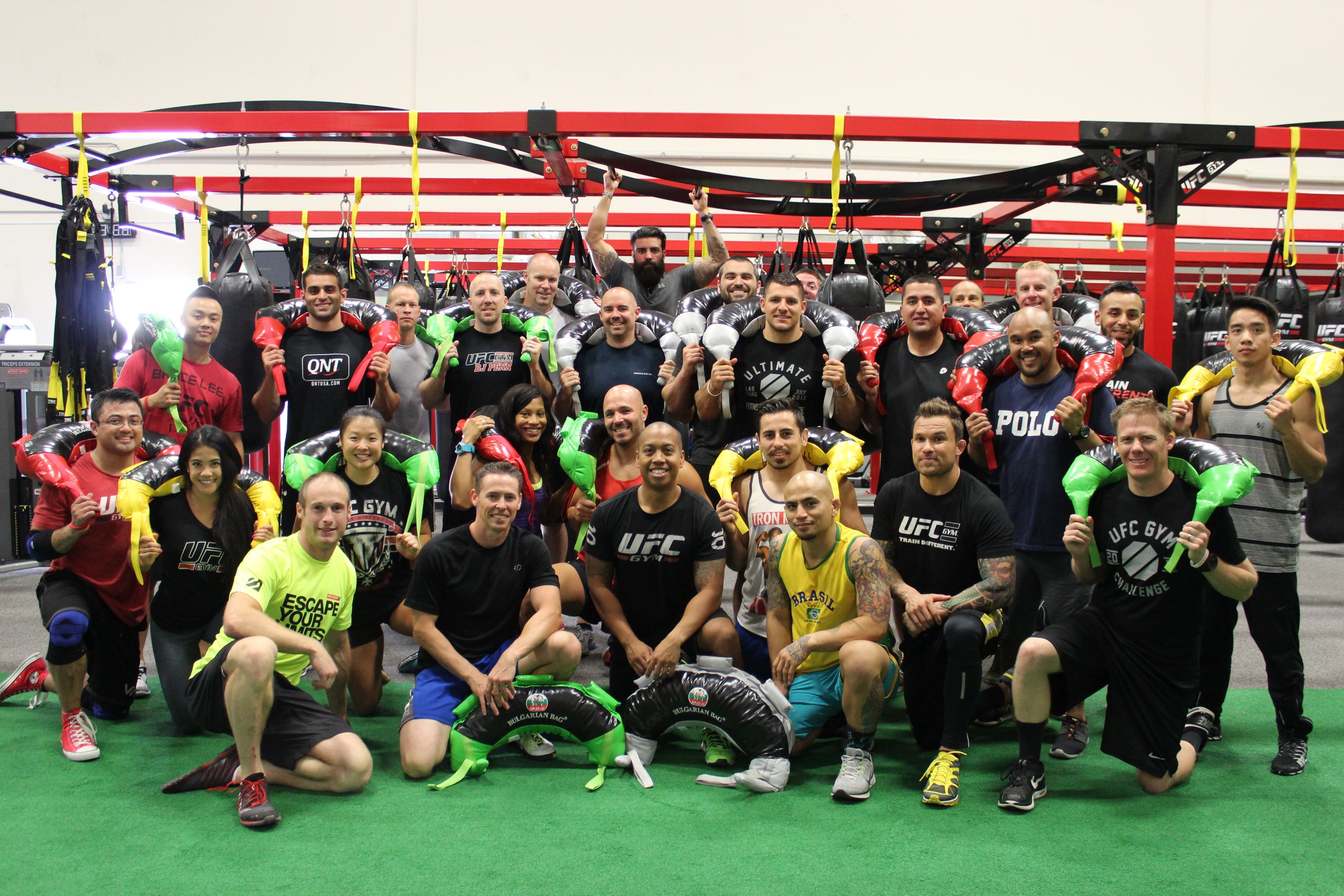 UFC Gym Education Programme Your Site Title