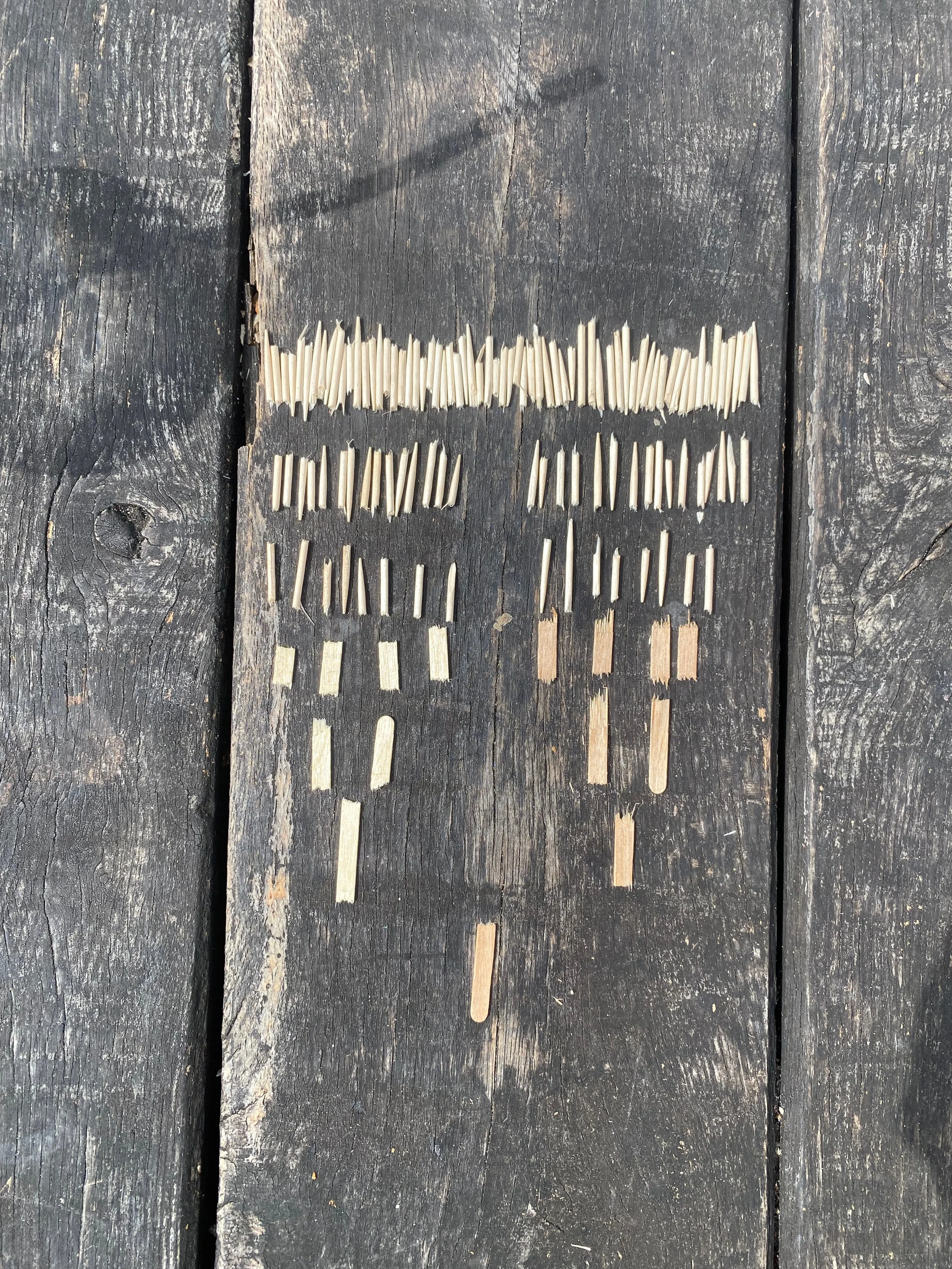 Zeven generaties familie