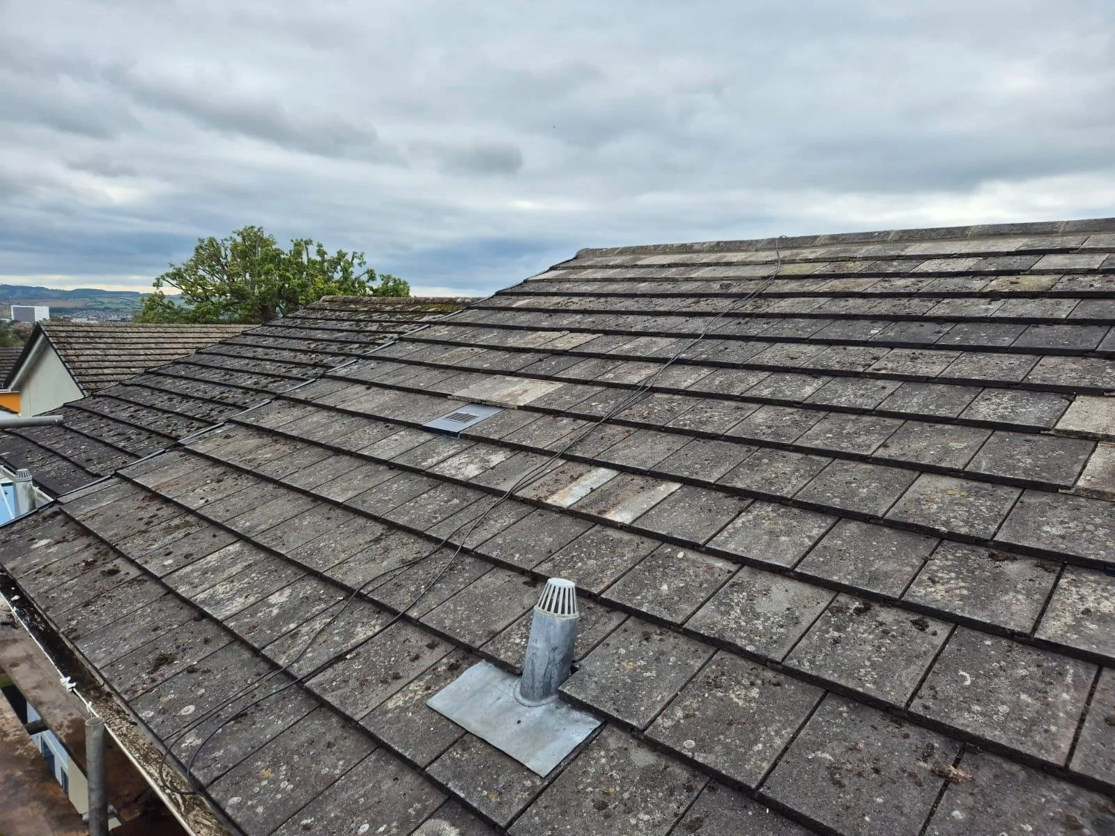 WhatsApp Image 2024-09-25 at 13.55.13.jpeg