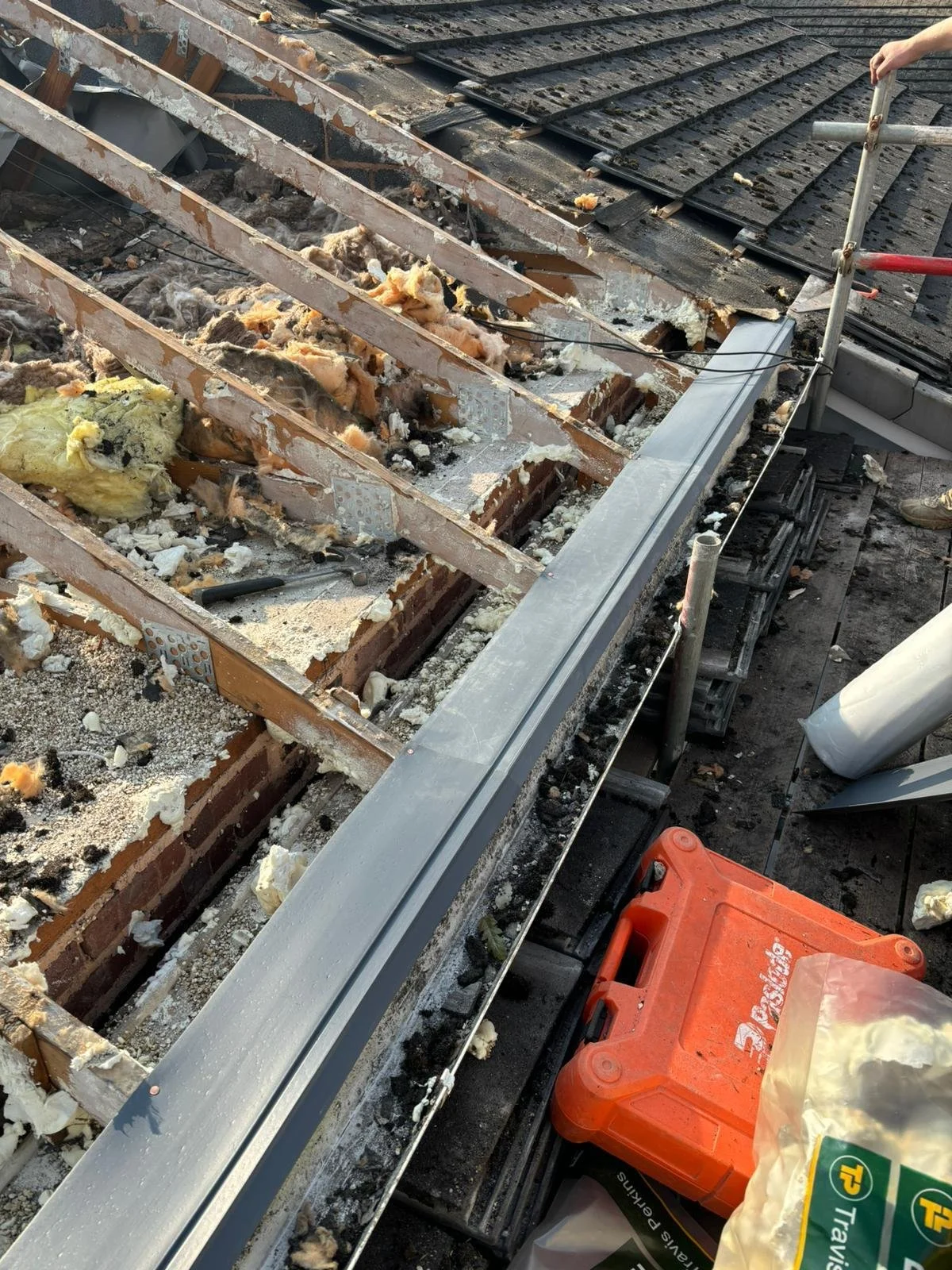 WhatsApp Image 2024-09-25 at 13.55.03.jpeg