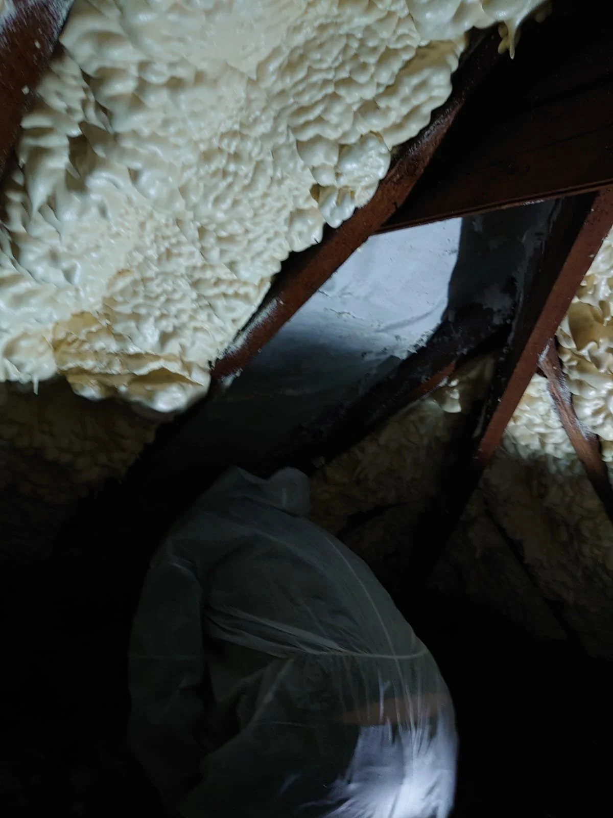 WhatsApp Image 2024-06-13 at 12.47.48 (2).jpeg