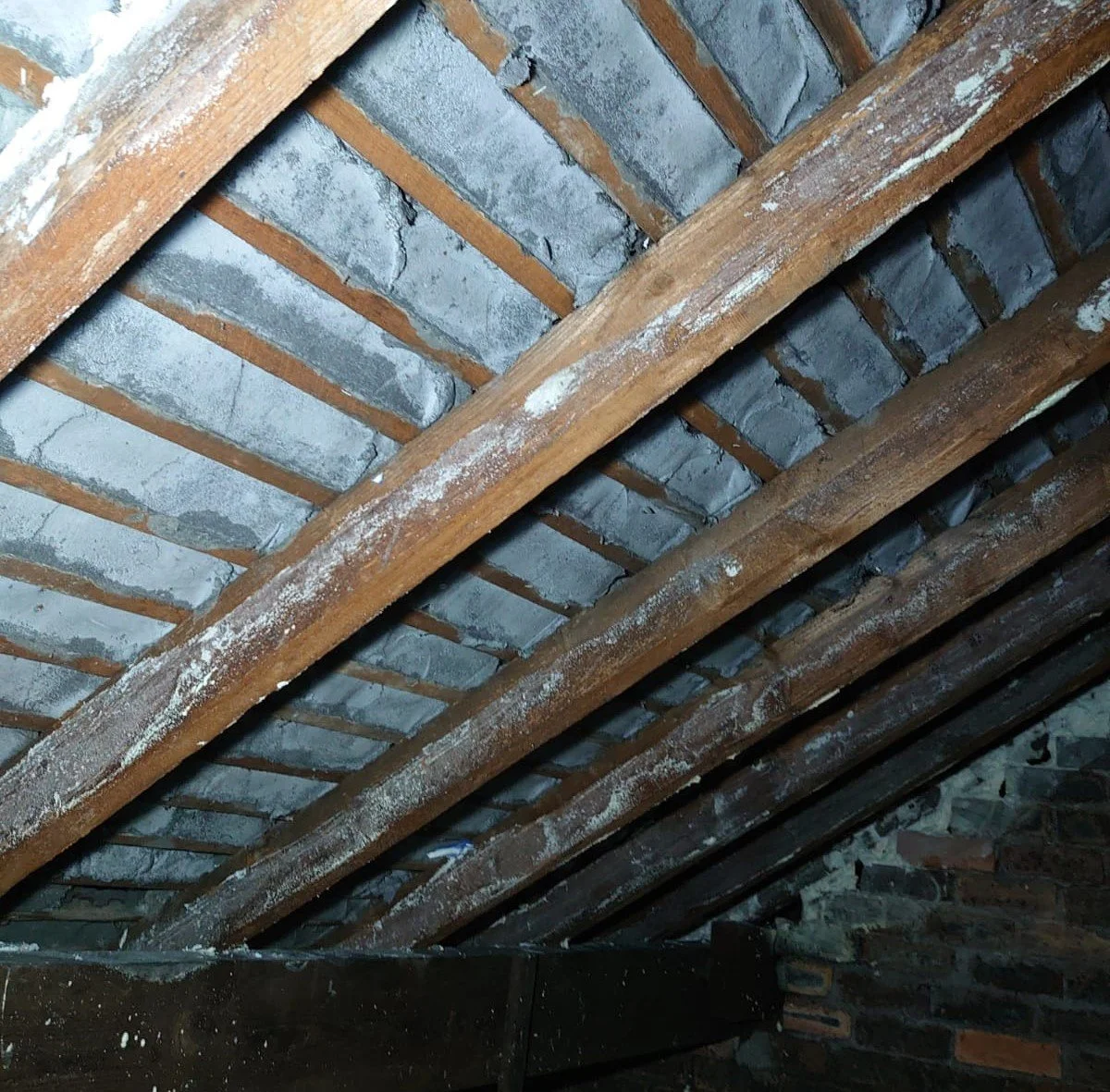 WhatsApp Image 2024-06-13 at 12.47.49.jpeg