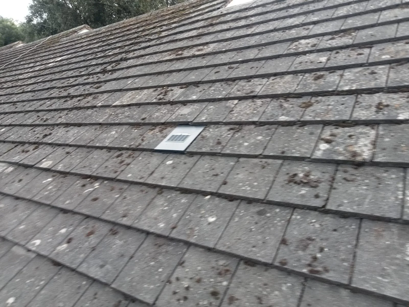 WhatsApp Image 2024-09-25 at 13.55.17.jpeg