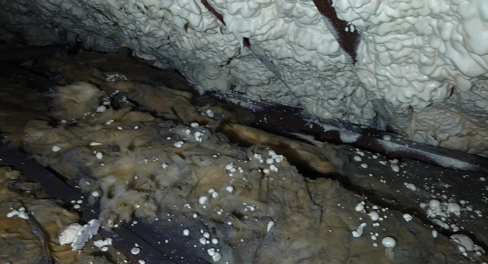 WhatsApp Image 2024-06-13 at 12.47.48 (1).jpeg