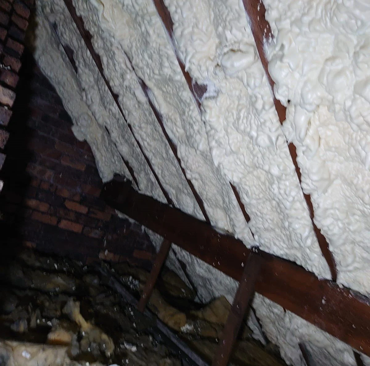 WhatsApp Image 2024-06-13 at 12.47.48.jpeg