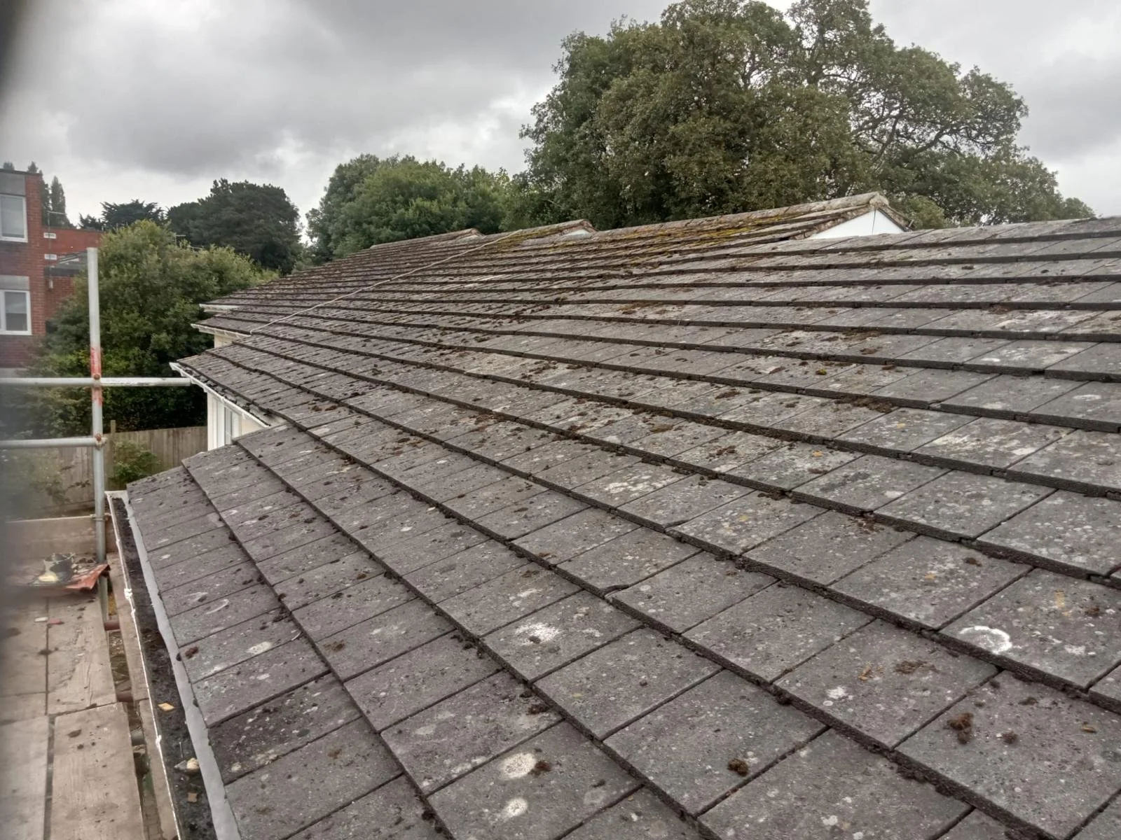 WhatsApp Image 2024-09-25 at 13.55.11.jpeg