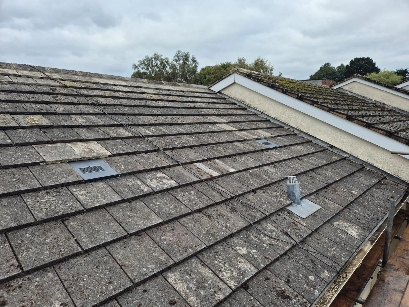 WhatsApp Image 2024-09-25 at 13.55.14.jpeg