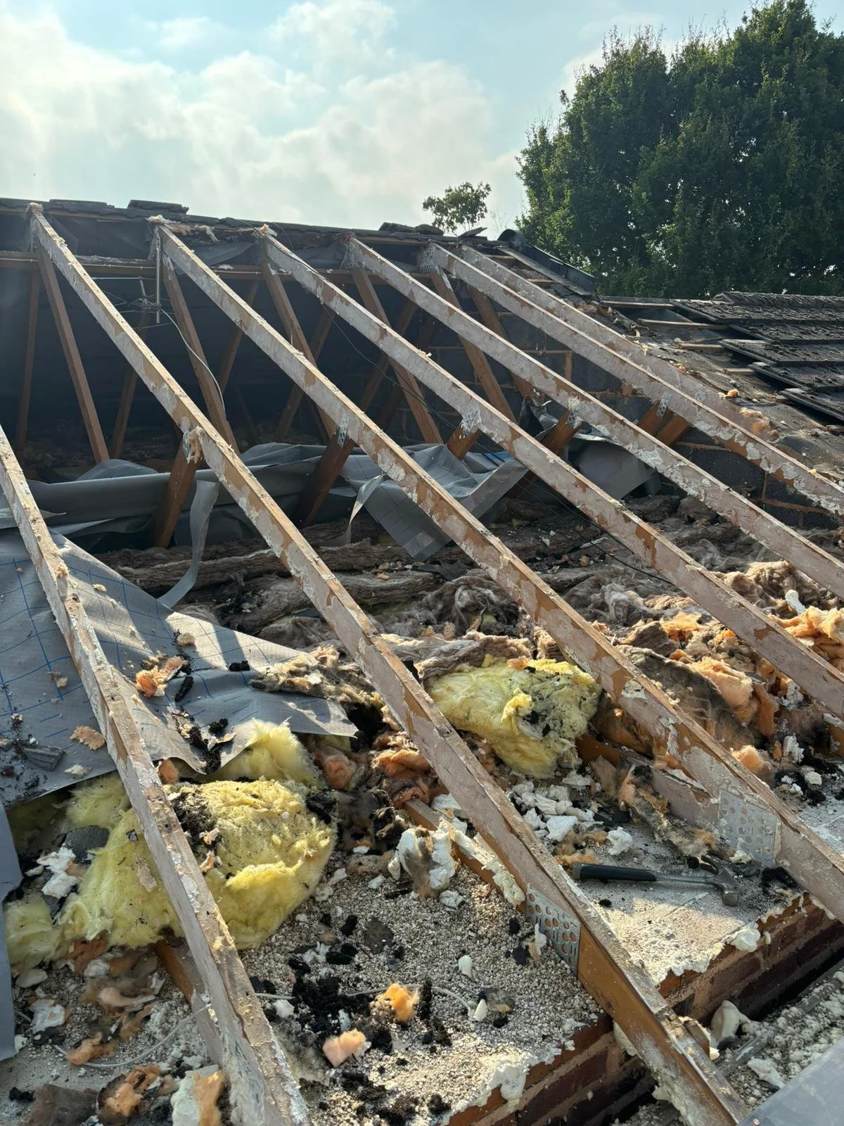 WhatsApp Image 2024-09-25 at 13.55.05 (1).jpeg