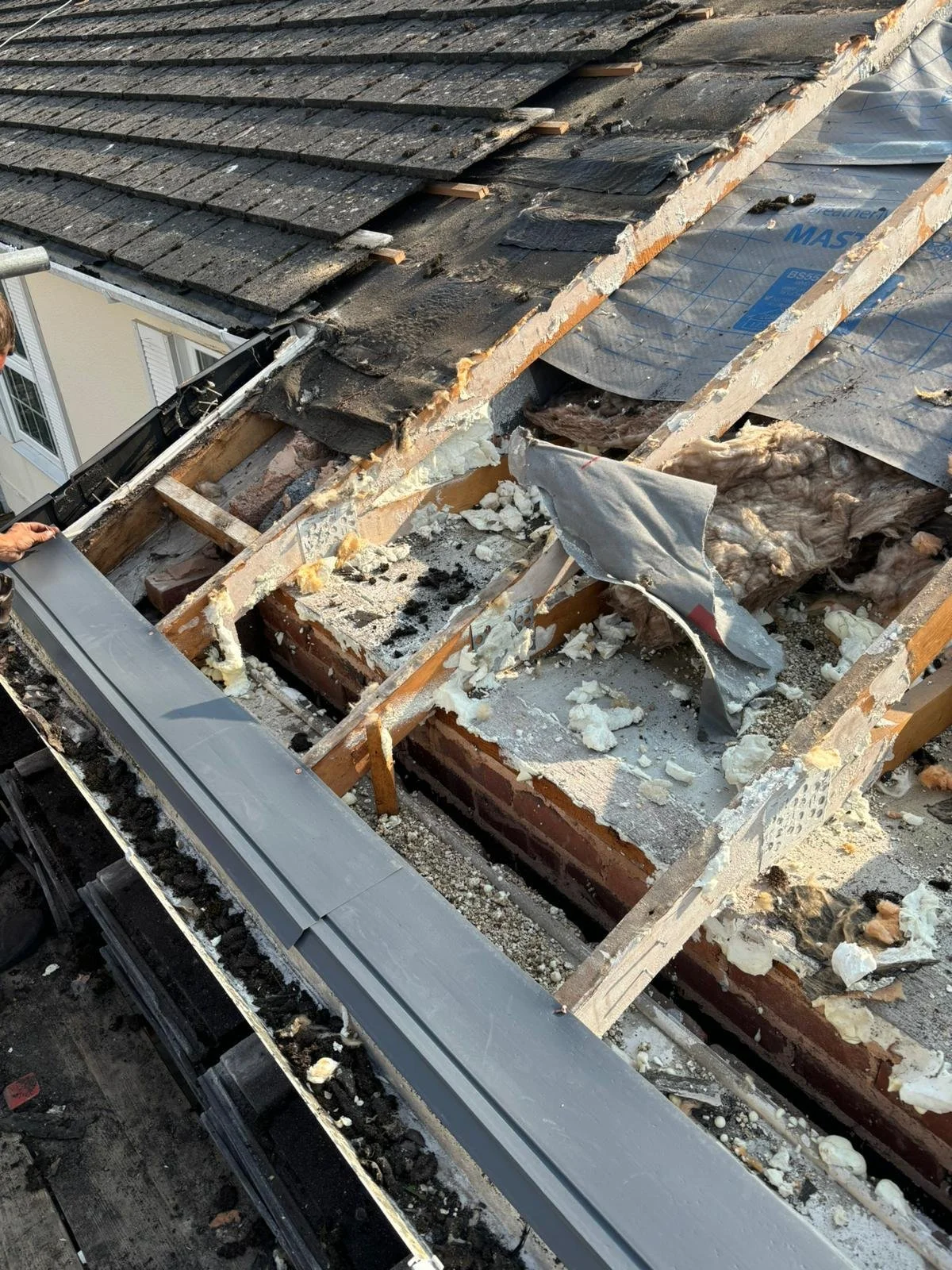 WhatsApp Image 2024-09-25 at 13.55.03 (1).jpeg