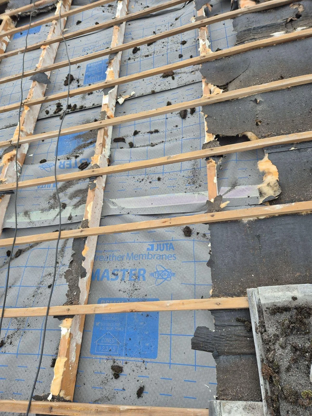 WhatsApp Image 2024-09-25 at 13.55.07.jpeg