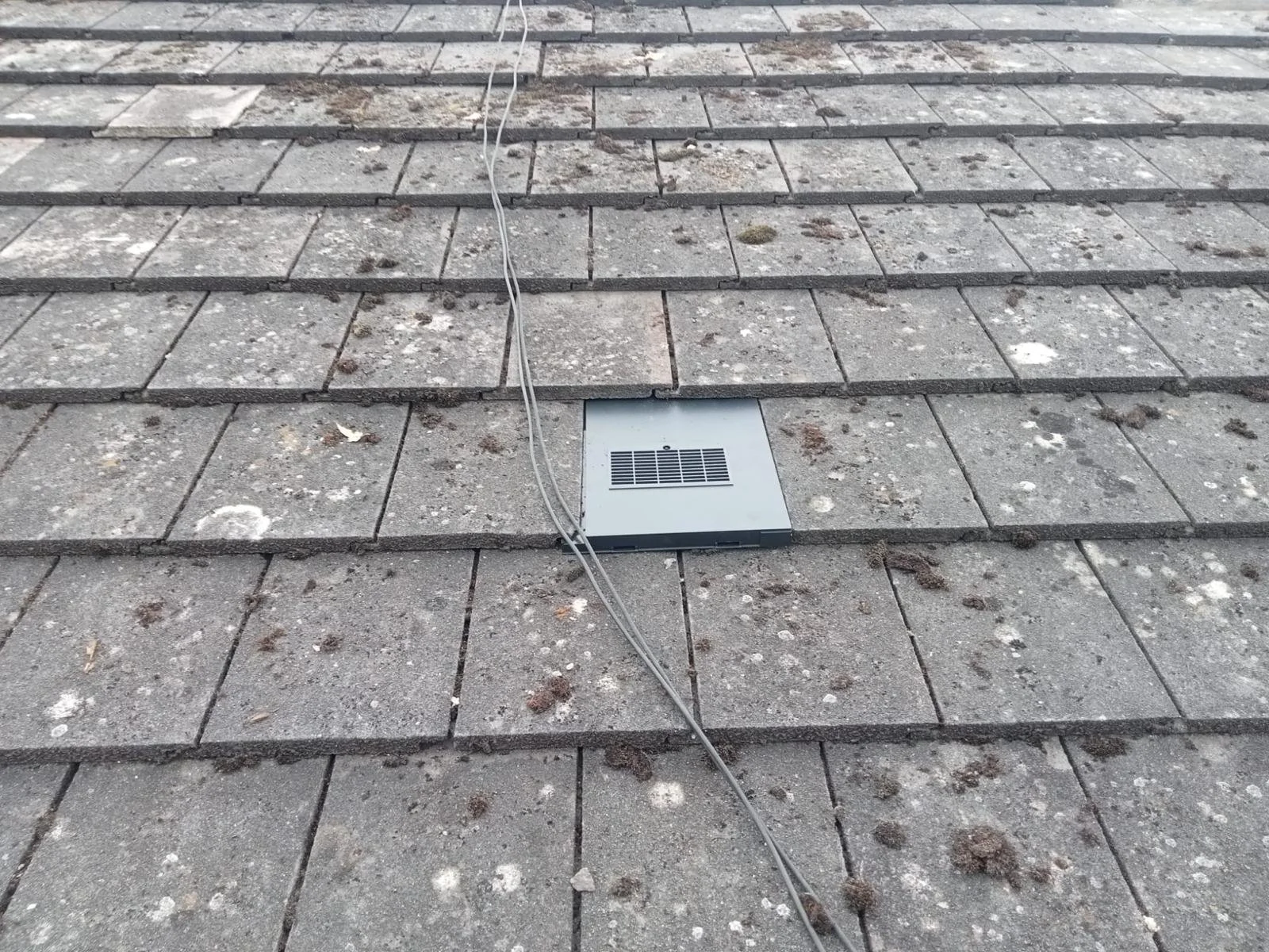 WhatsApp Image 2024-09-25 at 13.55.16.jpeg