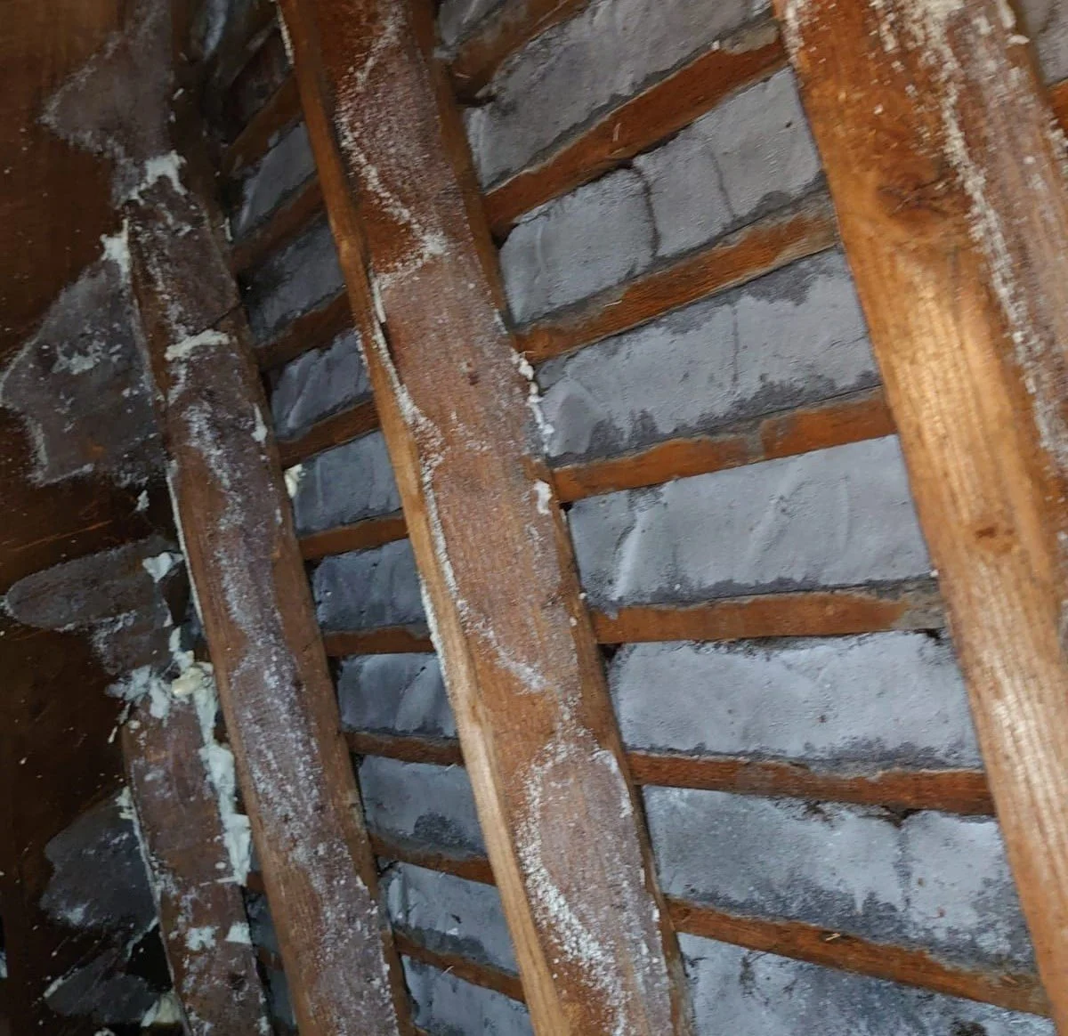 WhatsApp Image 2024-06-13 at 12.47.49 (1).jpeg