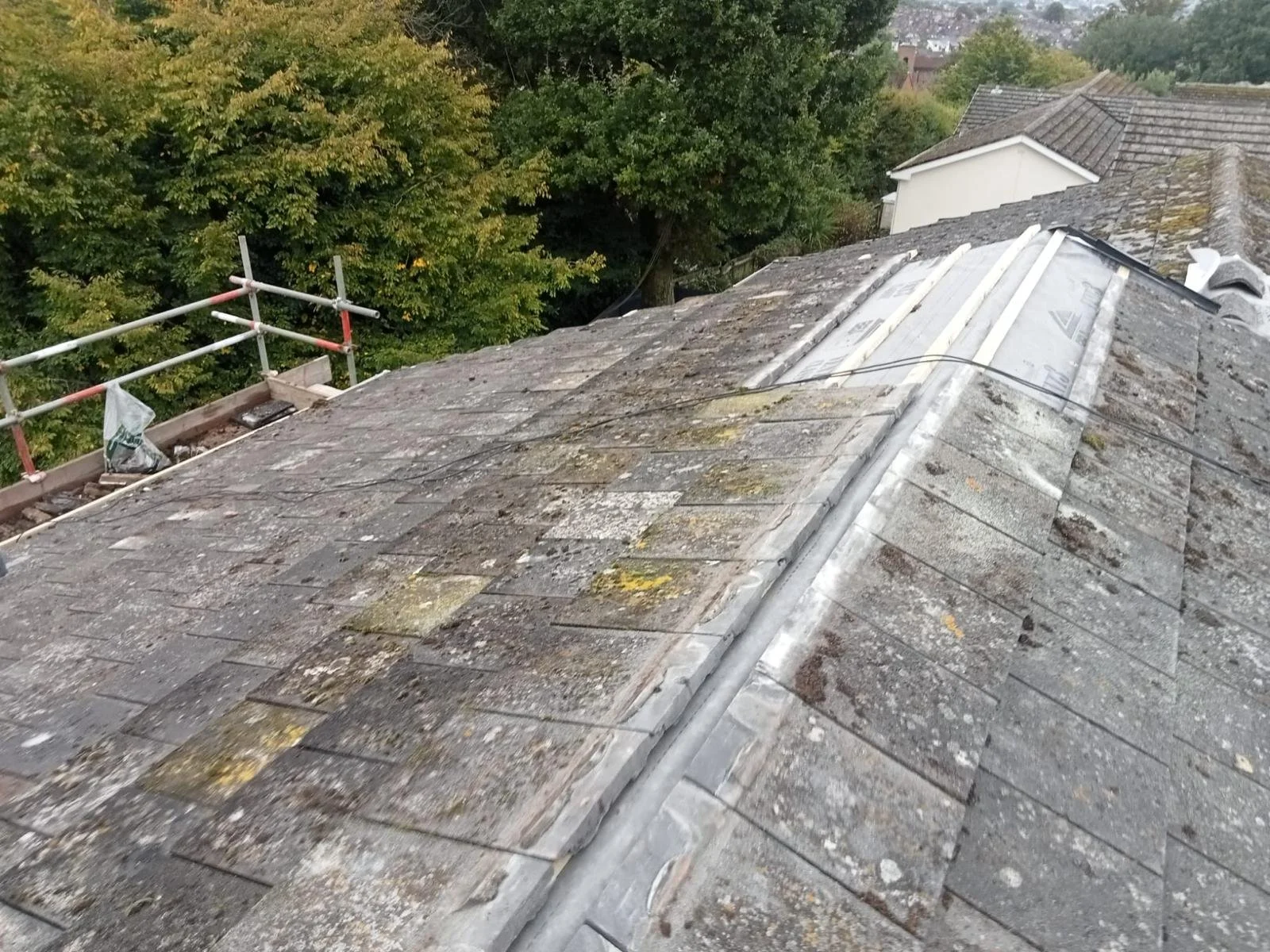 WhatsApp Image 2024-09-25 at 13.55.12 (1).jpeg