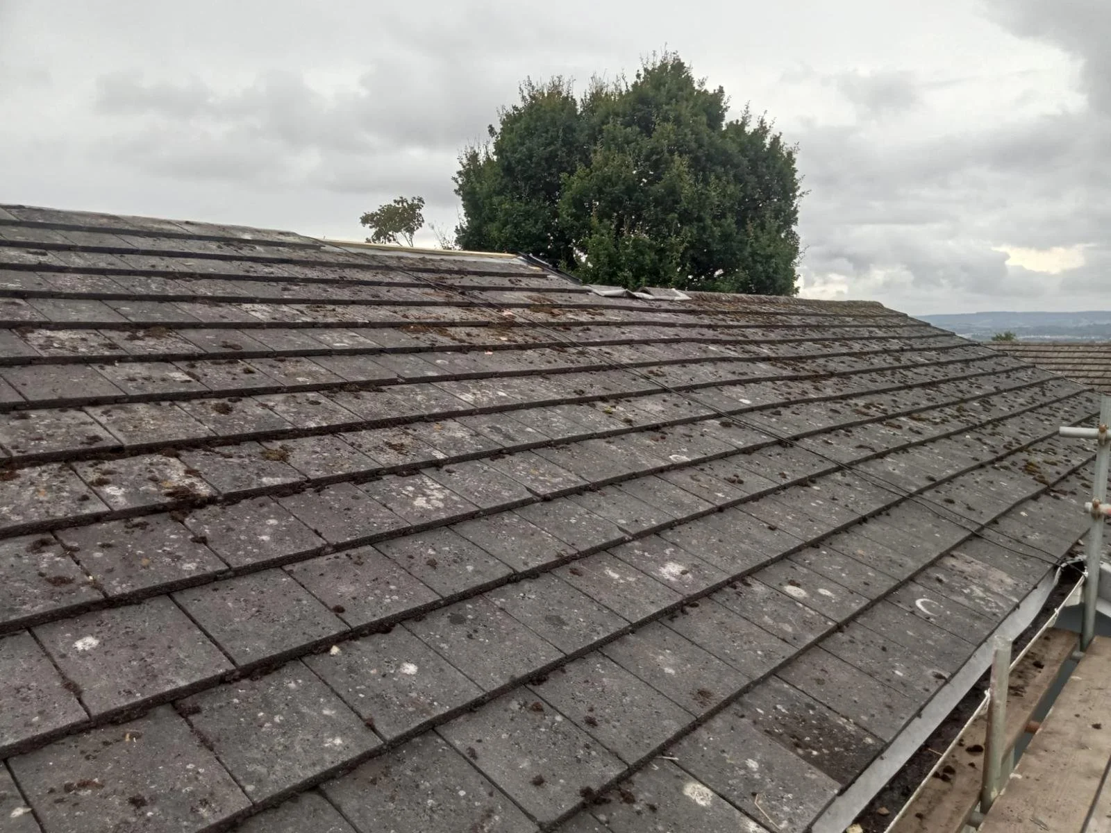 WhatsApp Image 2024-09-25 at 13.55.09 (1).jpeg