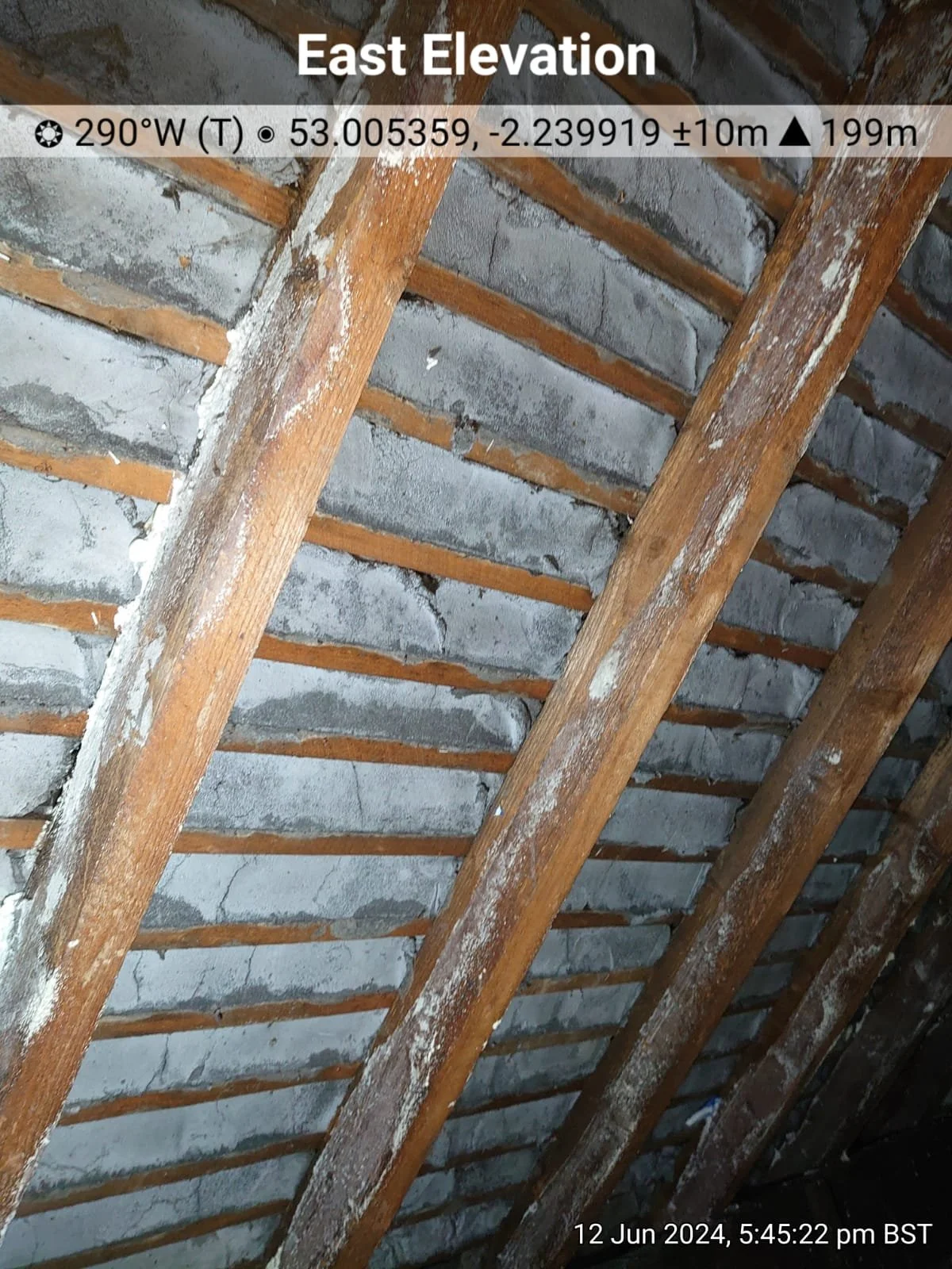 WhatsApp Image 2024-06-13 at 12.47.51.jpeg