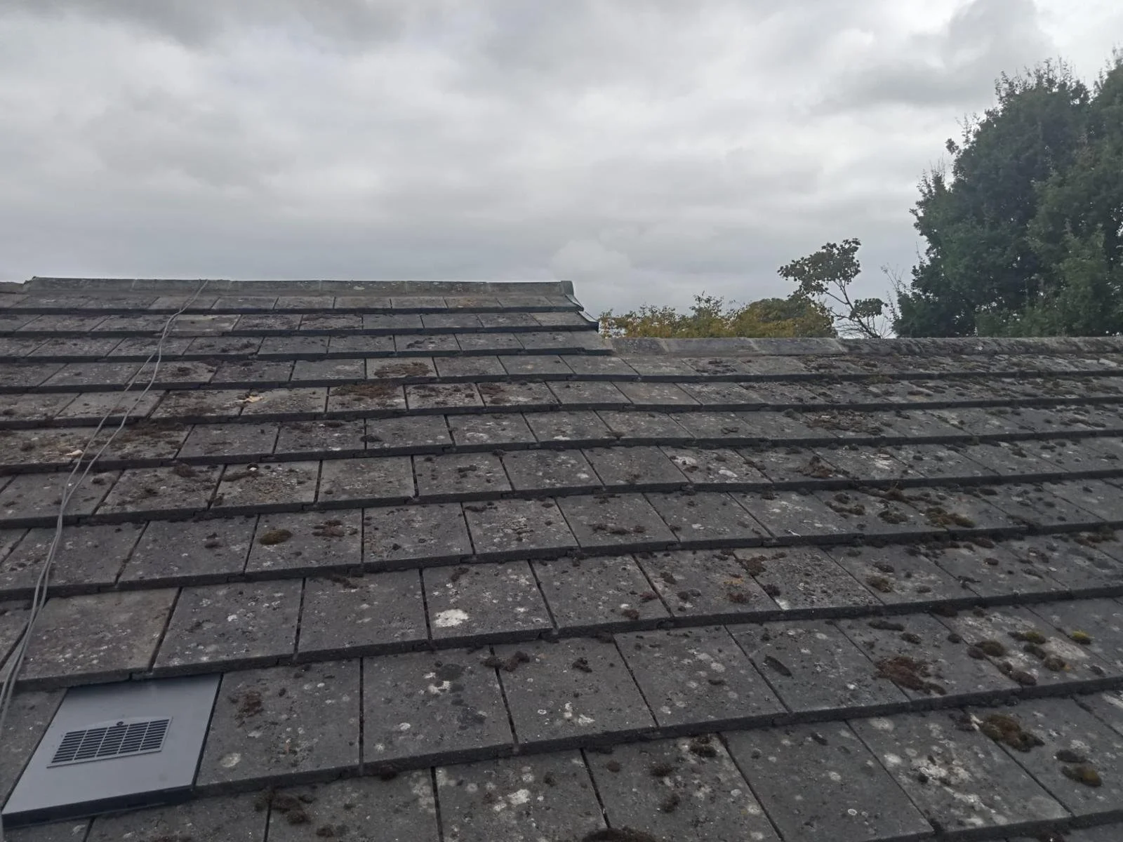 WhatsApp Image 2024-09-25 at 13.55.18.jpeg