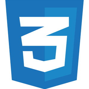 CSS.png