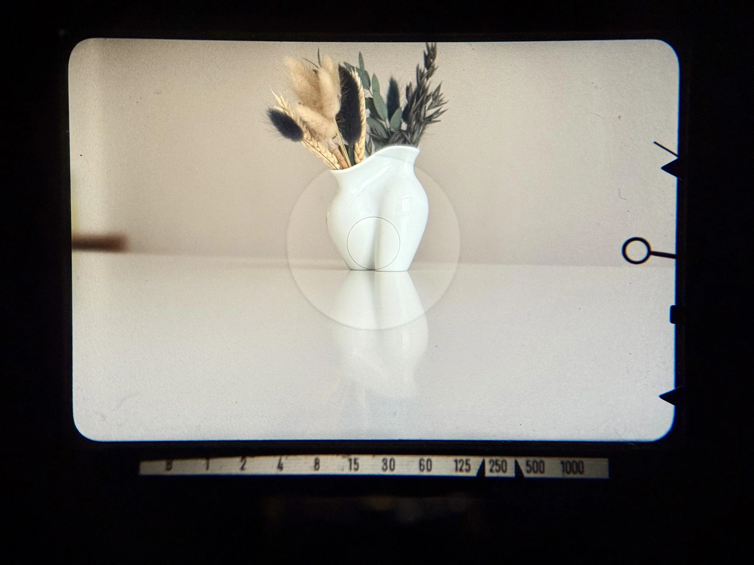 Minolta SR-101 viewfinder with match-needle metering and shutter speed scale