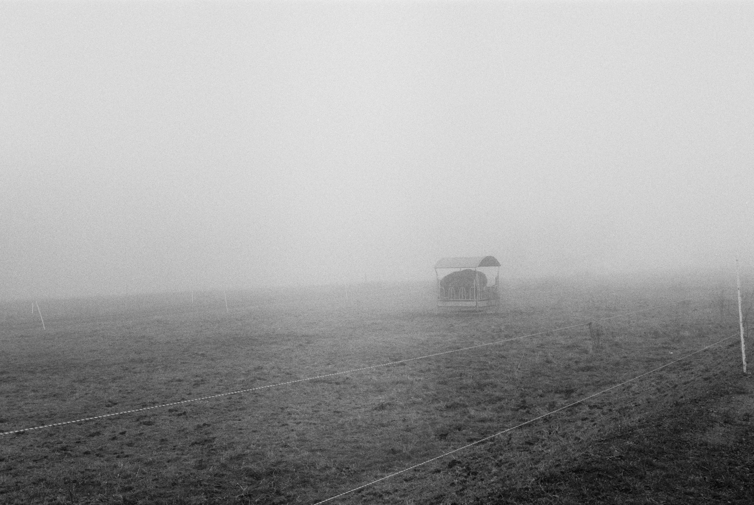 Ein nebliger, offener Feld mit einer kleinen Hütte im Hintergrund und spärlichen Markierungen auf dem Boden. Langenleiten auf Film.