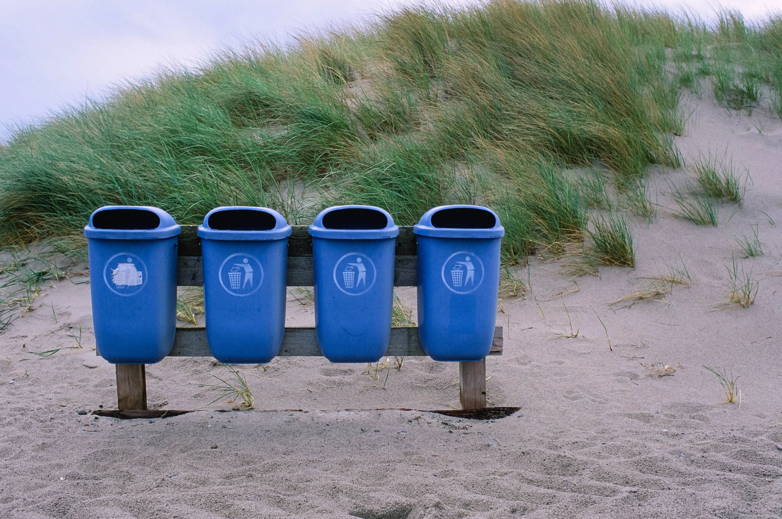 Vier blaue Mülleimer auf einem Holzgestell im Sandstrand, mit Pflanzen im Hintergrund. Diernhagen strand auf Fuji Velvia.