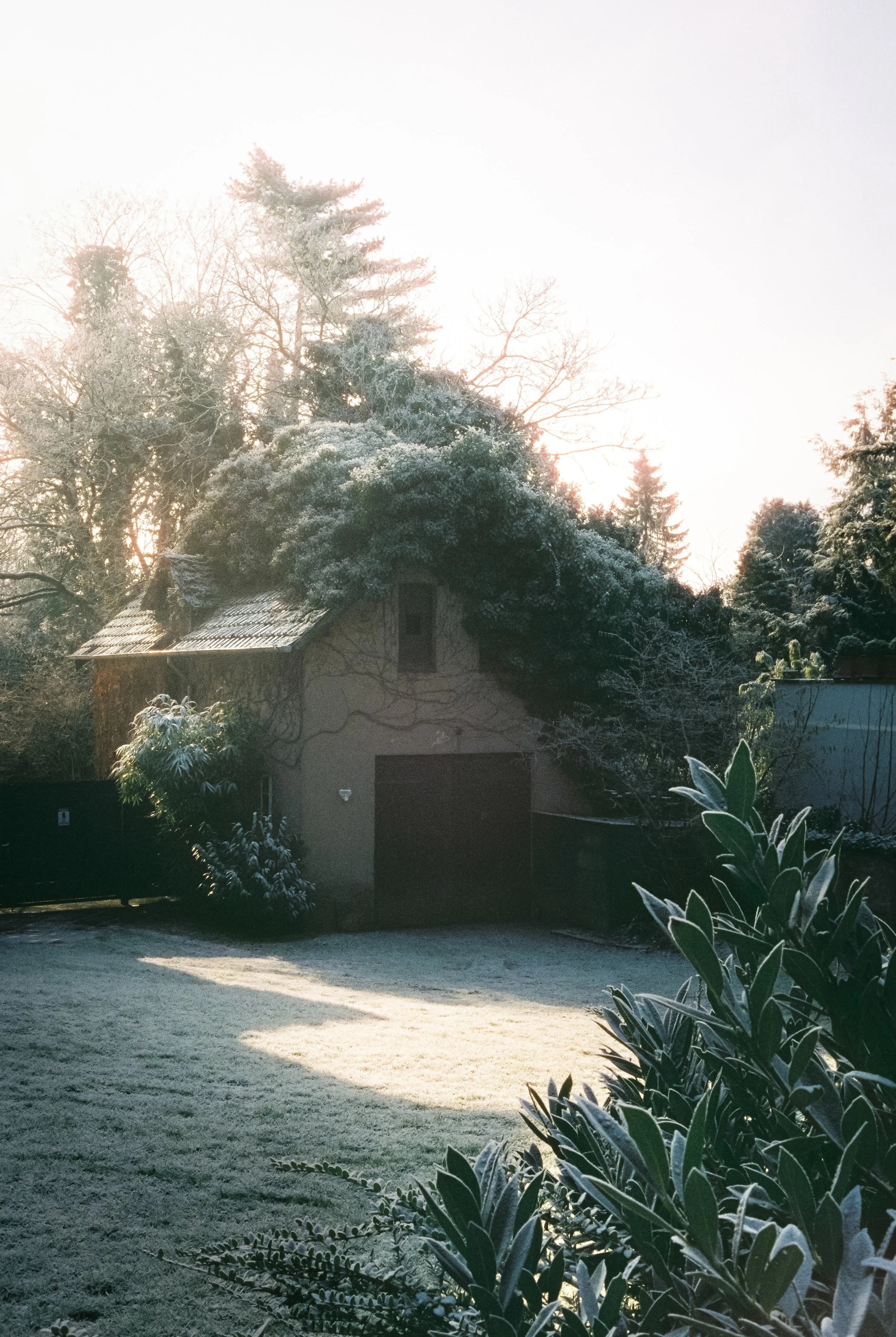 Ein verschneiter Garten mit einem kleinen Haus, umgeben von Bäumen und Sträuchern, bei Sonnenaufgang im Winter.
