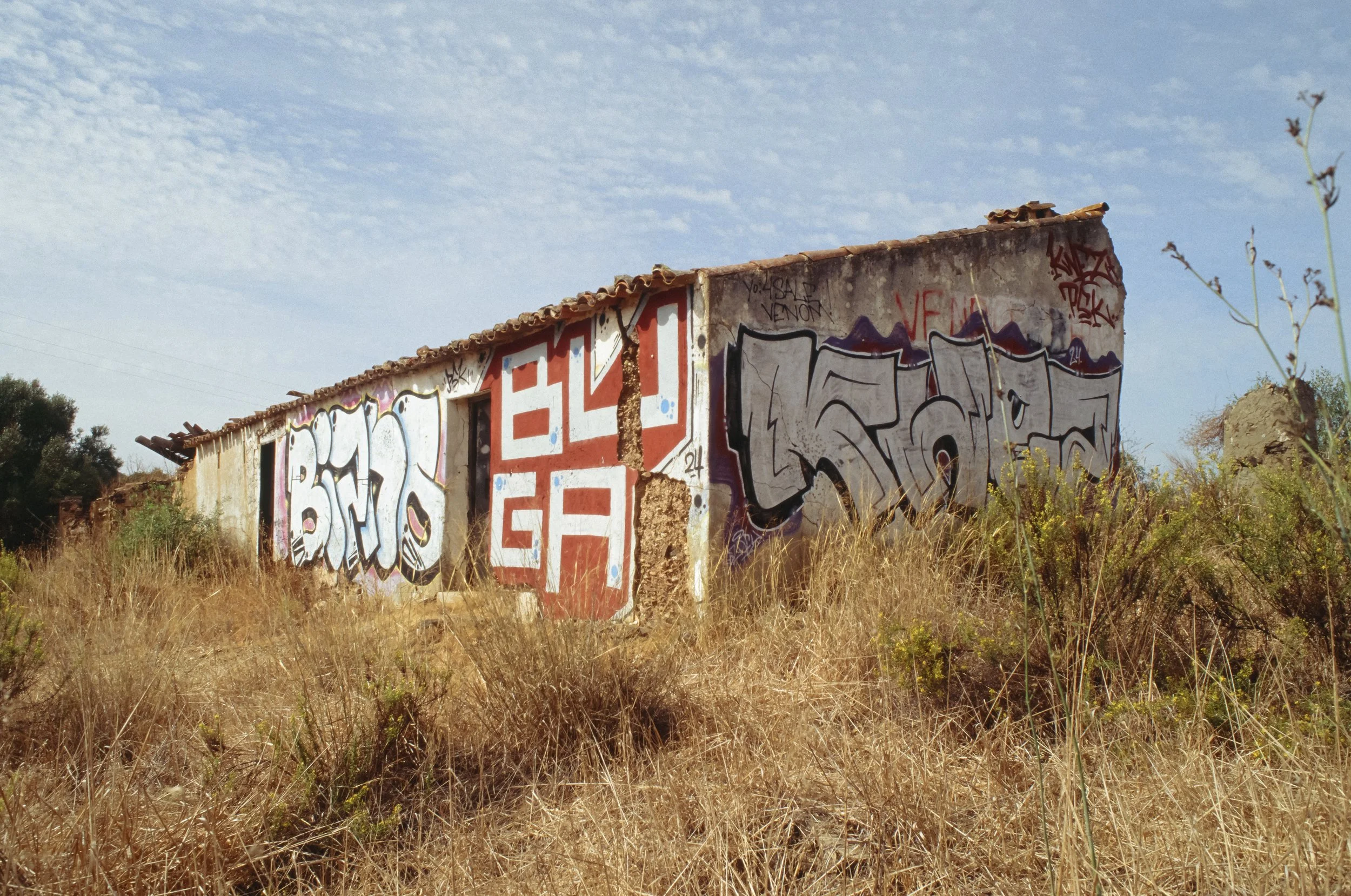 Verfallenes Haus mit Graffiti an den Wänden in einer trockenen, grasbewachsenen Landschaft unter einem bewölkten Himmel. Portugal auf Fuji Provia 100f.