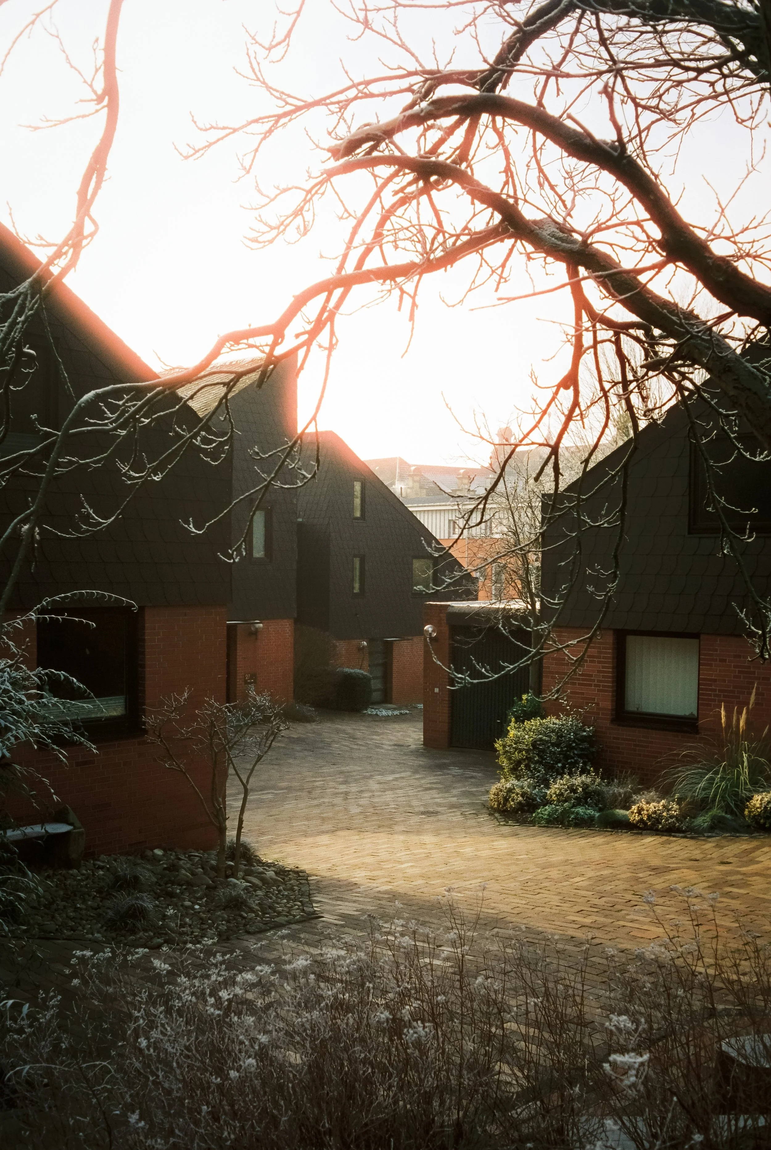 Ein abendliches Bild eines Hauses mit einem gepflasterten Hof, umgeben von Büschen und Bäumen, die im Winter keine Blätter haben.
