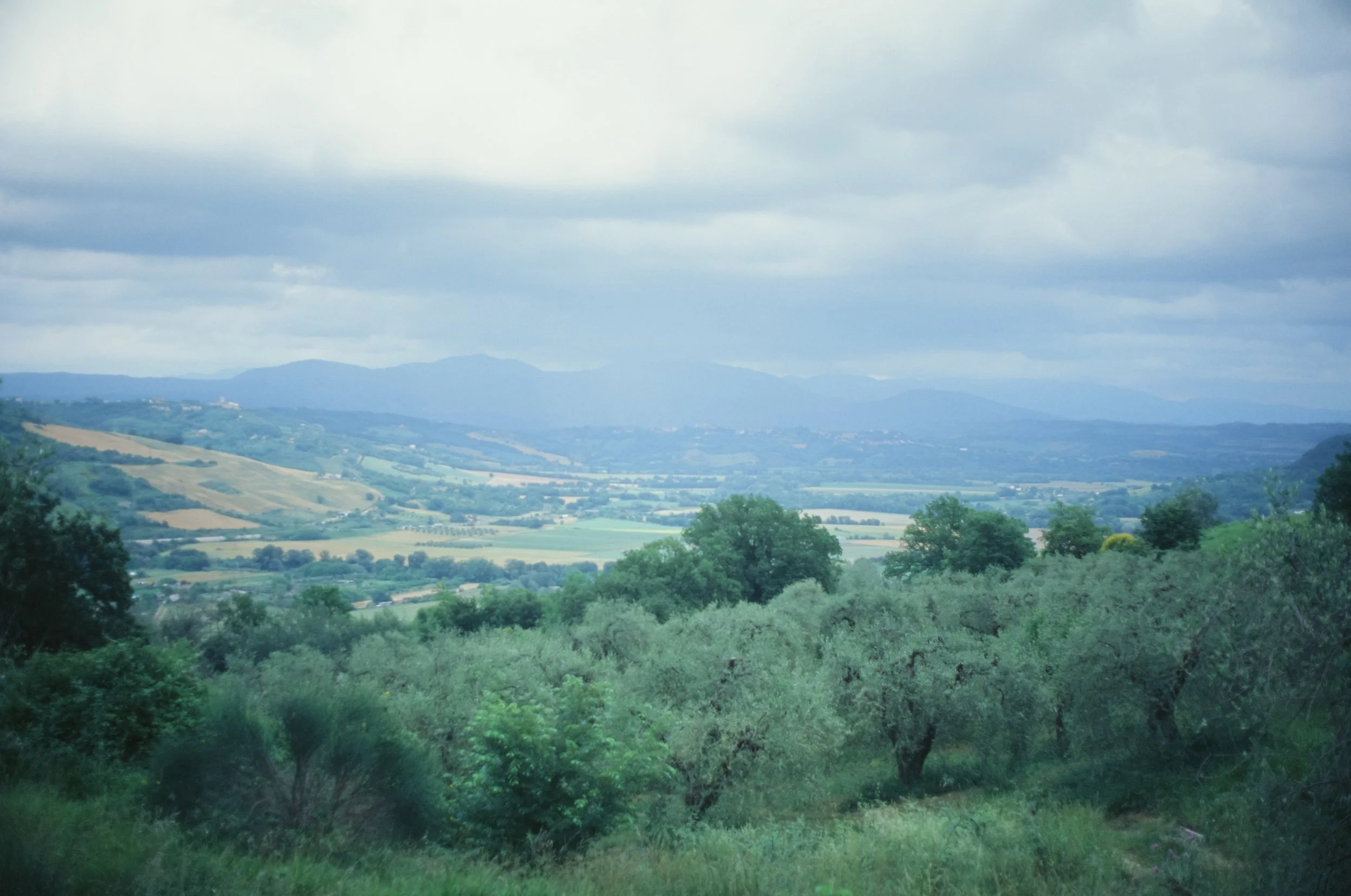 Uncorrected Ektachrome scan from Italy under overcast sky, showing a heavy blue tint due to high UV light and cool color temperature