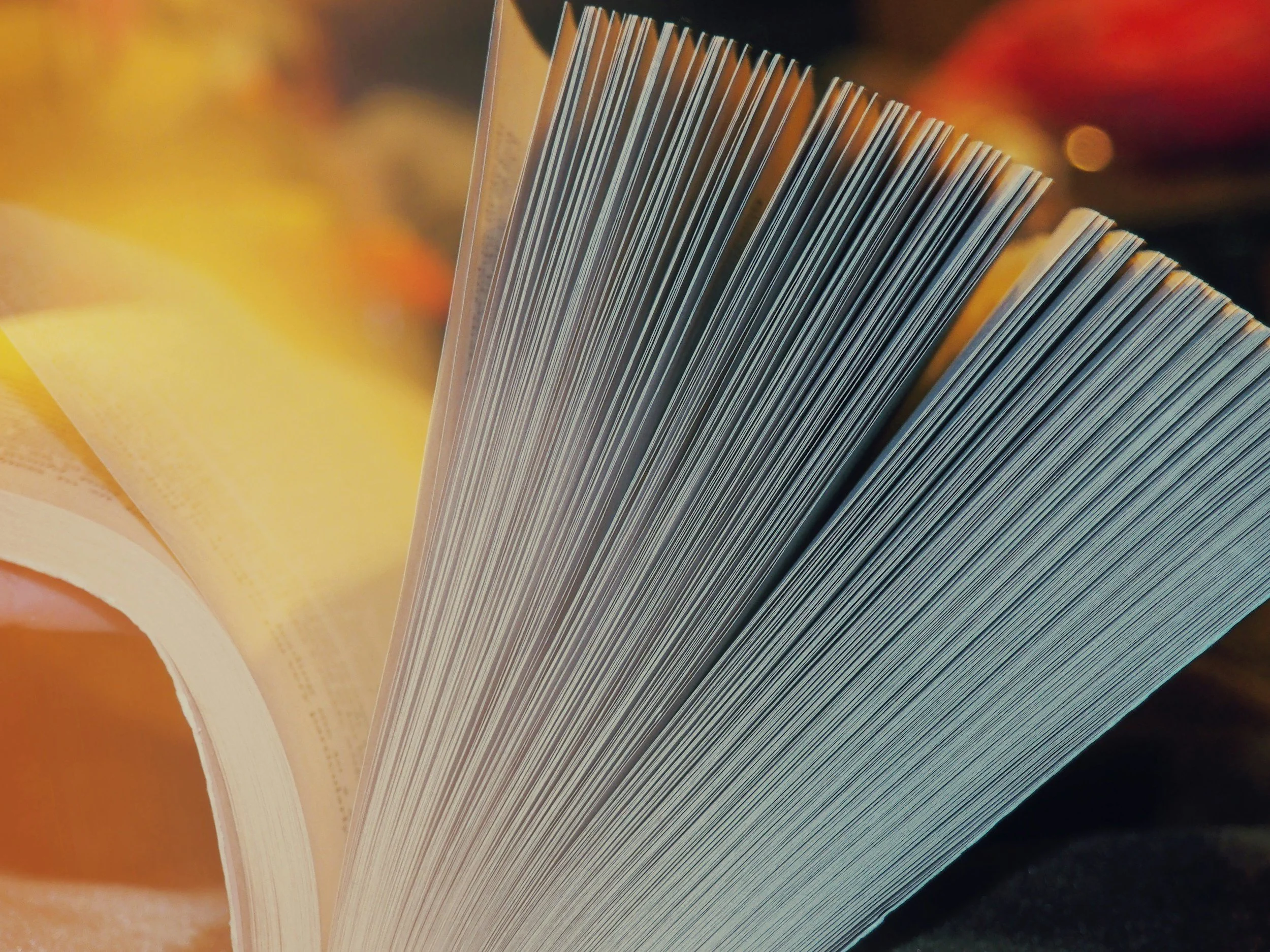 Fréquence LIVRES - Le RDV pour parler livres