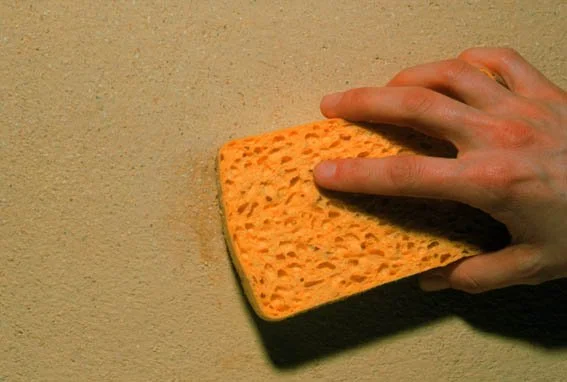 aardpleister x-white