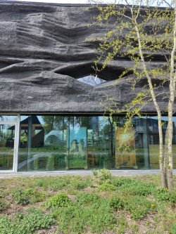 clay plaster paint Coating Hardener