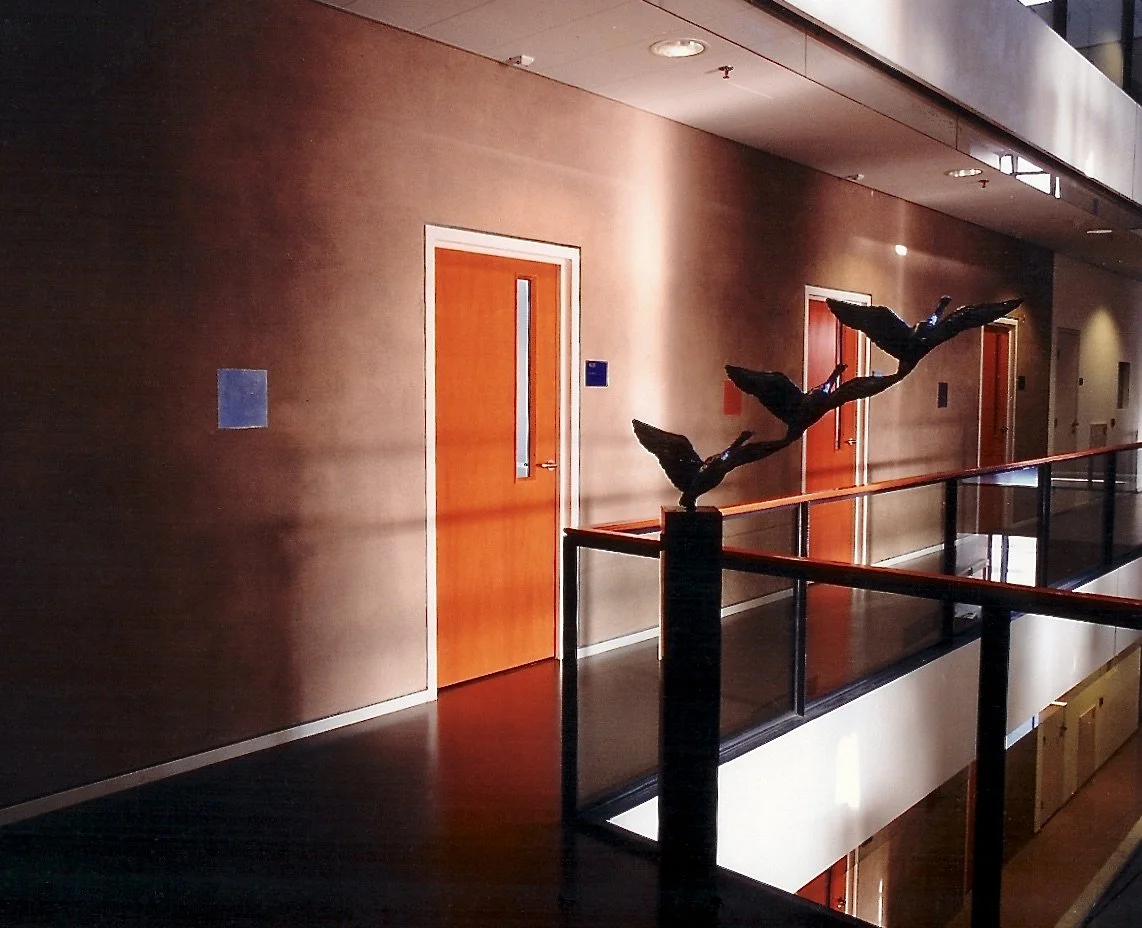 Aangestampte aarde met t-paint