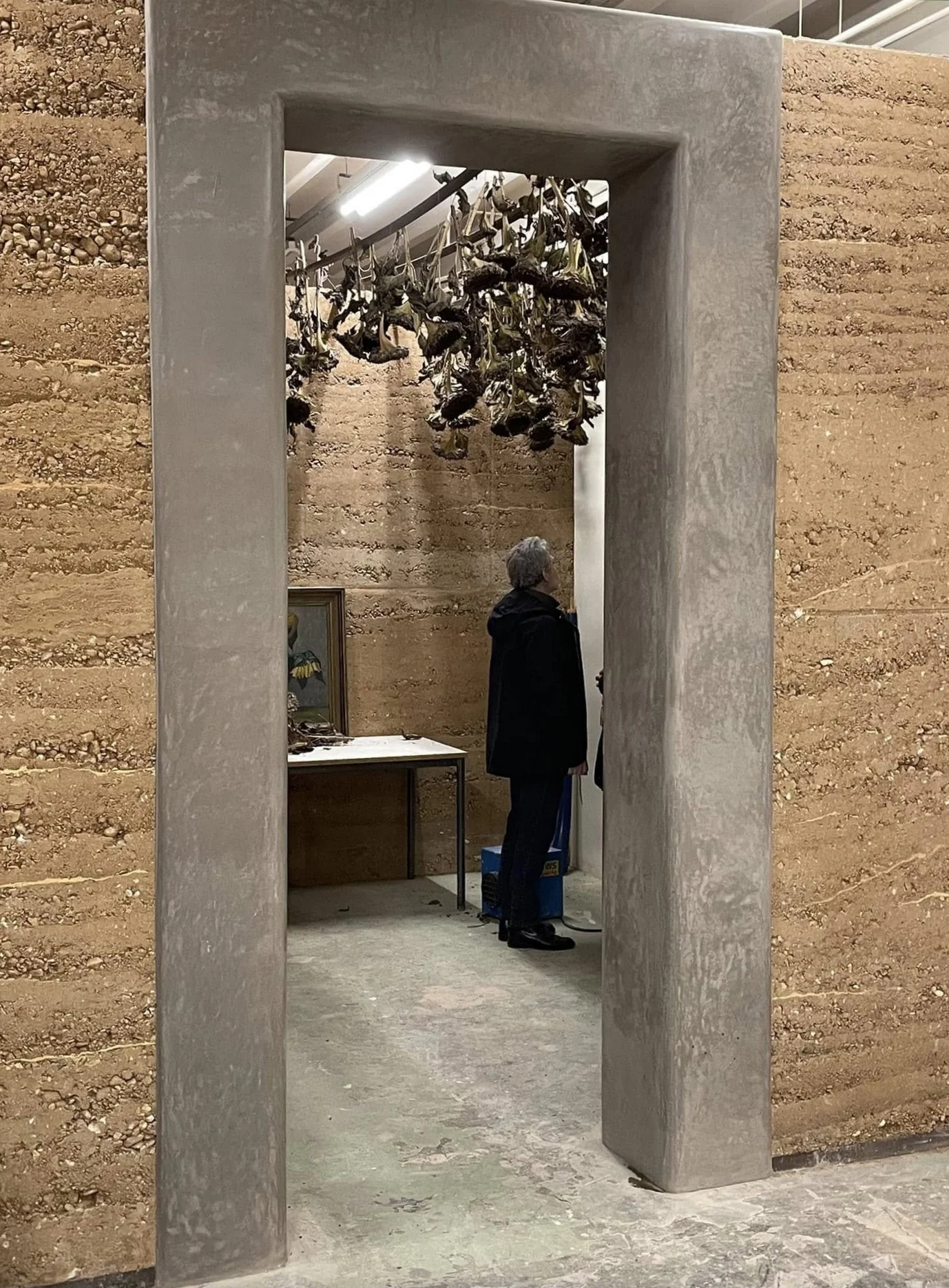 rammed earth tadelakt combination