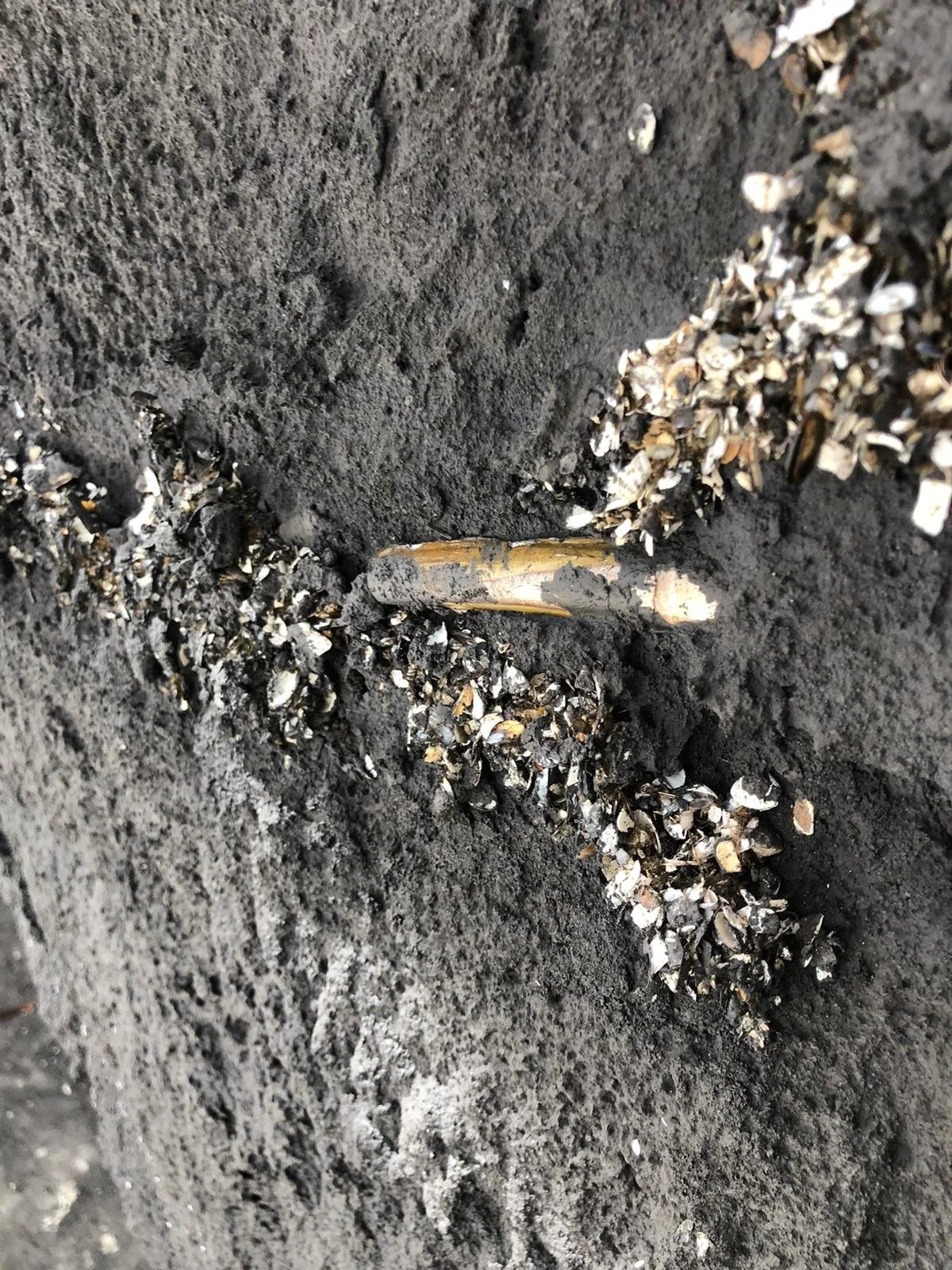 clay paint plaster additives