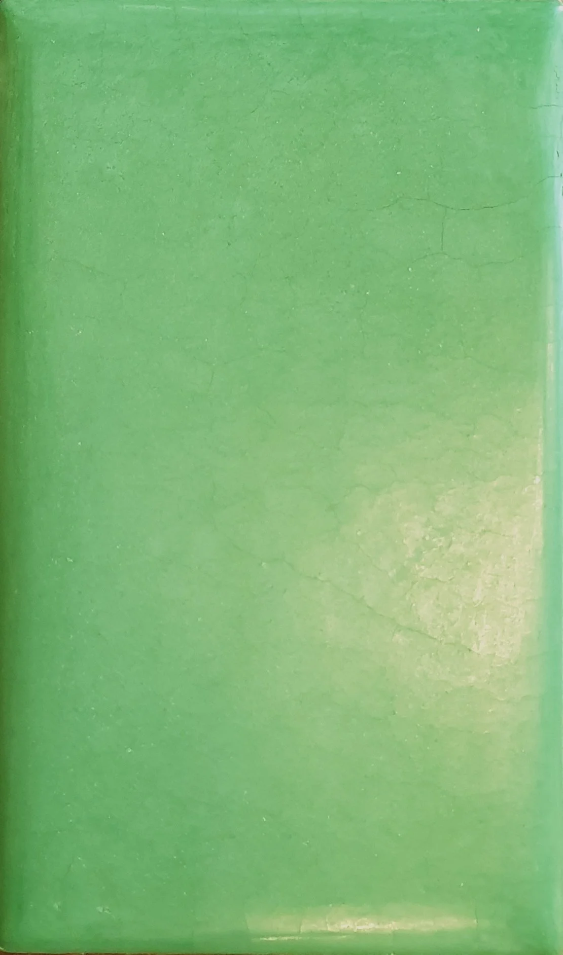 Tadelakt kalkpleister congo groen