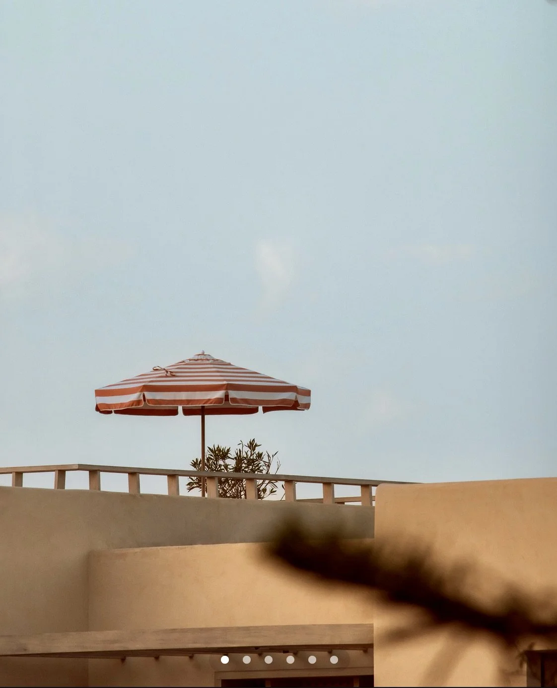 lime plaster on the roof