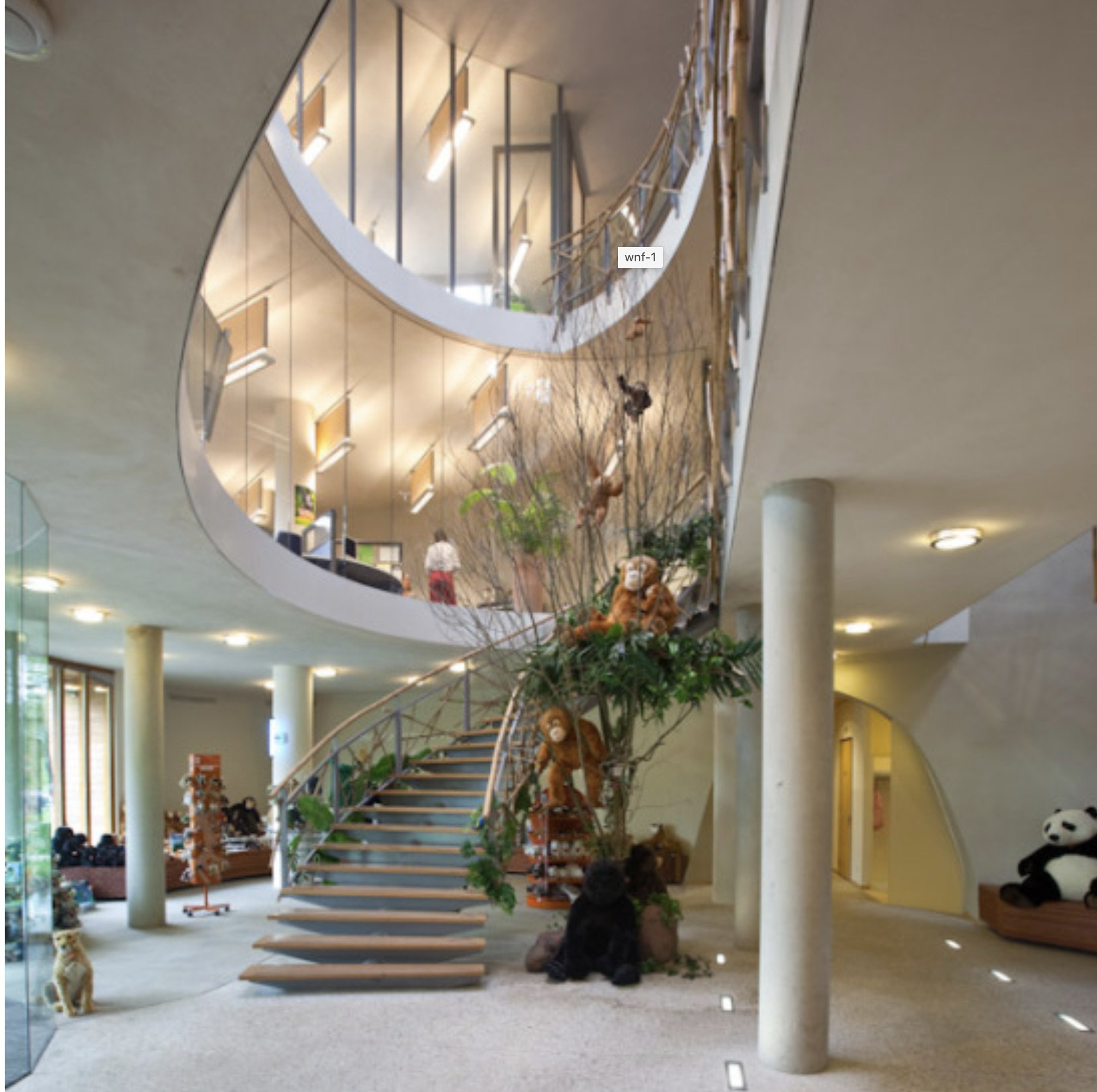 spraying clay plaster