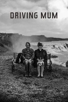 915625-driving-mum-0-230-0-345-crop-301420262.jpg