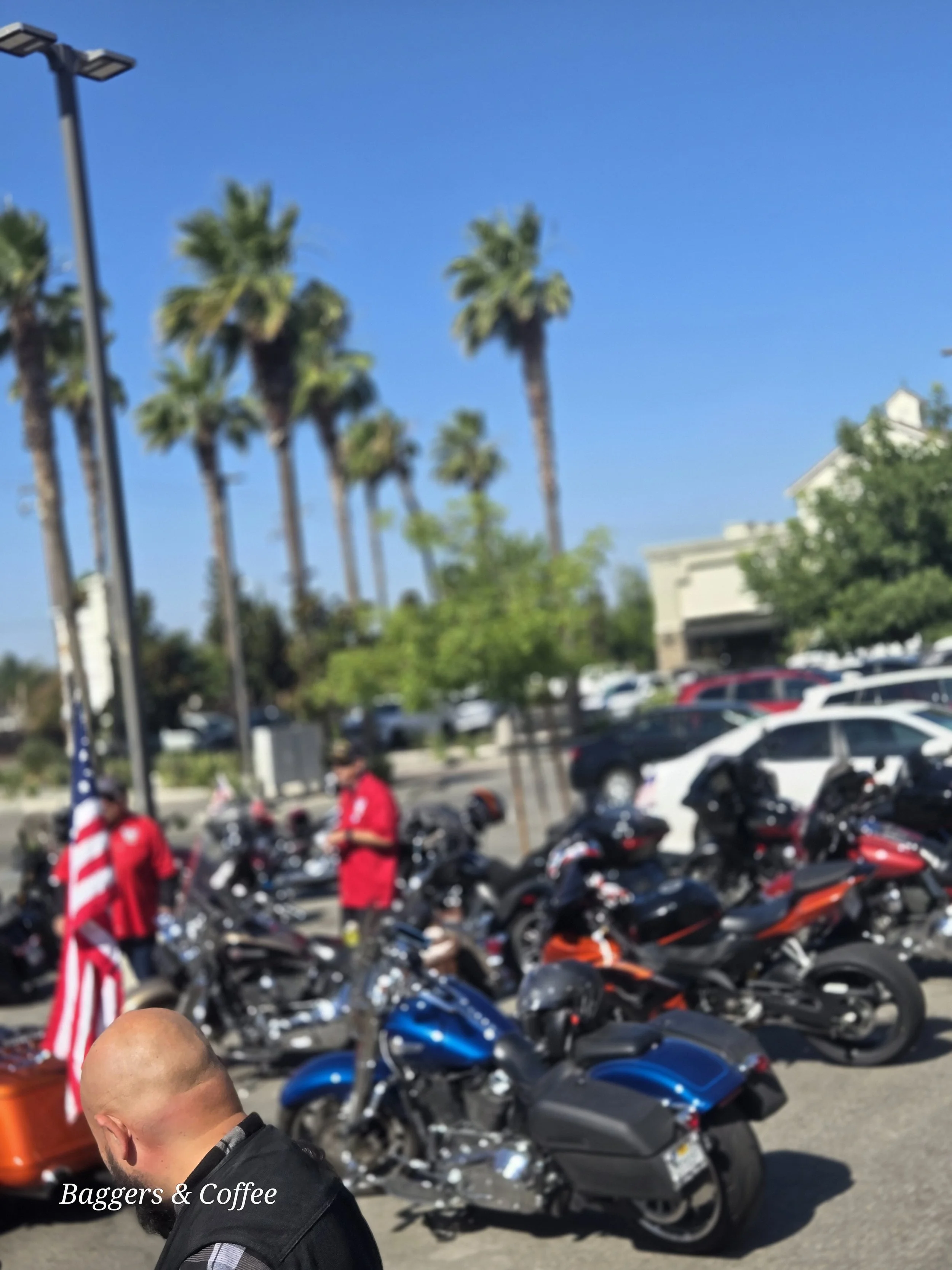 A parking lot filled with motorcycles and parked cars, with tall palm trees and a building in the background under a clear blue sky during daytime.