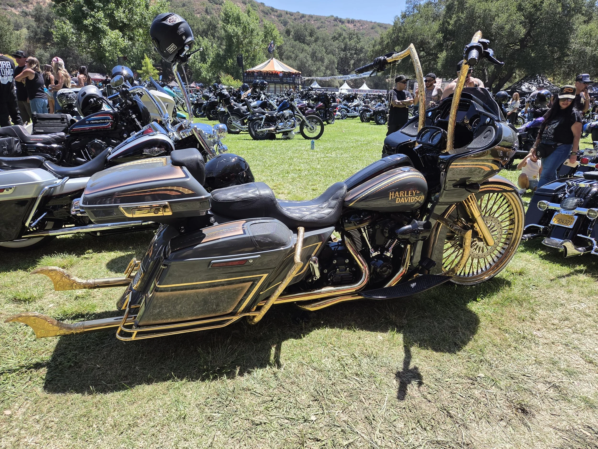 A collection of motorcycles and scooters, including Harley-Davidson bikes, parked on a grassy area at an outdoor event with people walking and socializing in the background, trees, and mountains.