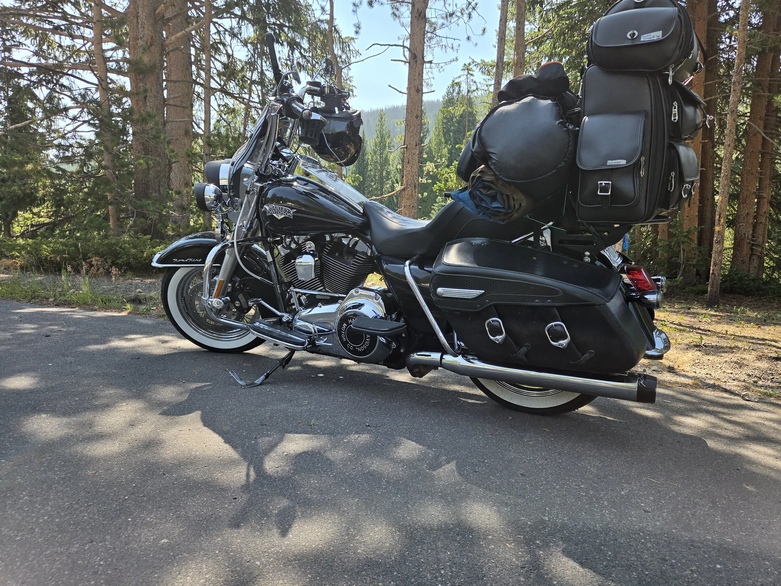Black Harley Davidson motorcycle parked on a paved road in a forested area with tall trees and green foliage in the background.