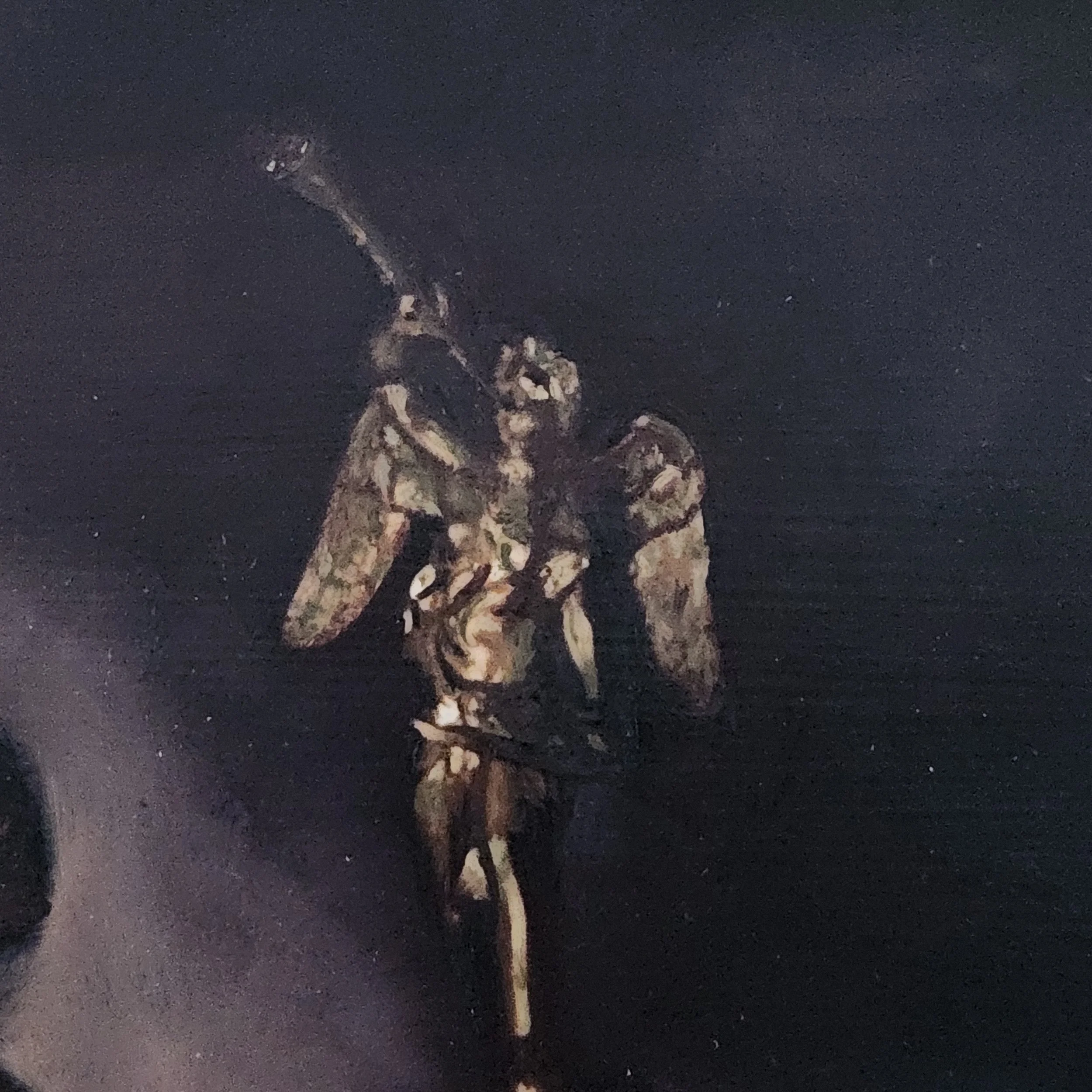20260126_121214.jpg