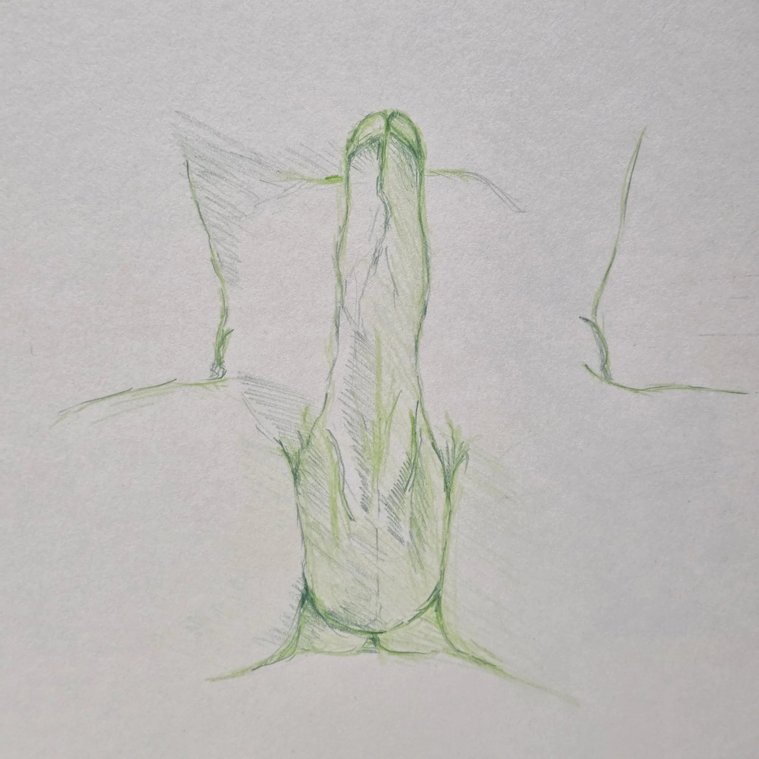 20260914_210251.jpg